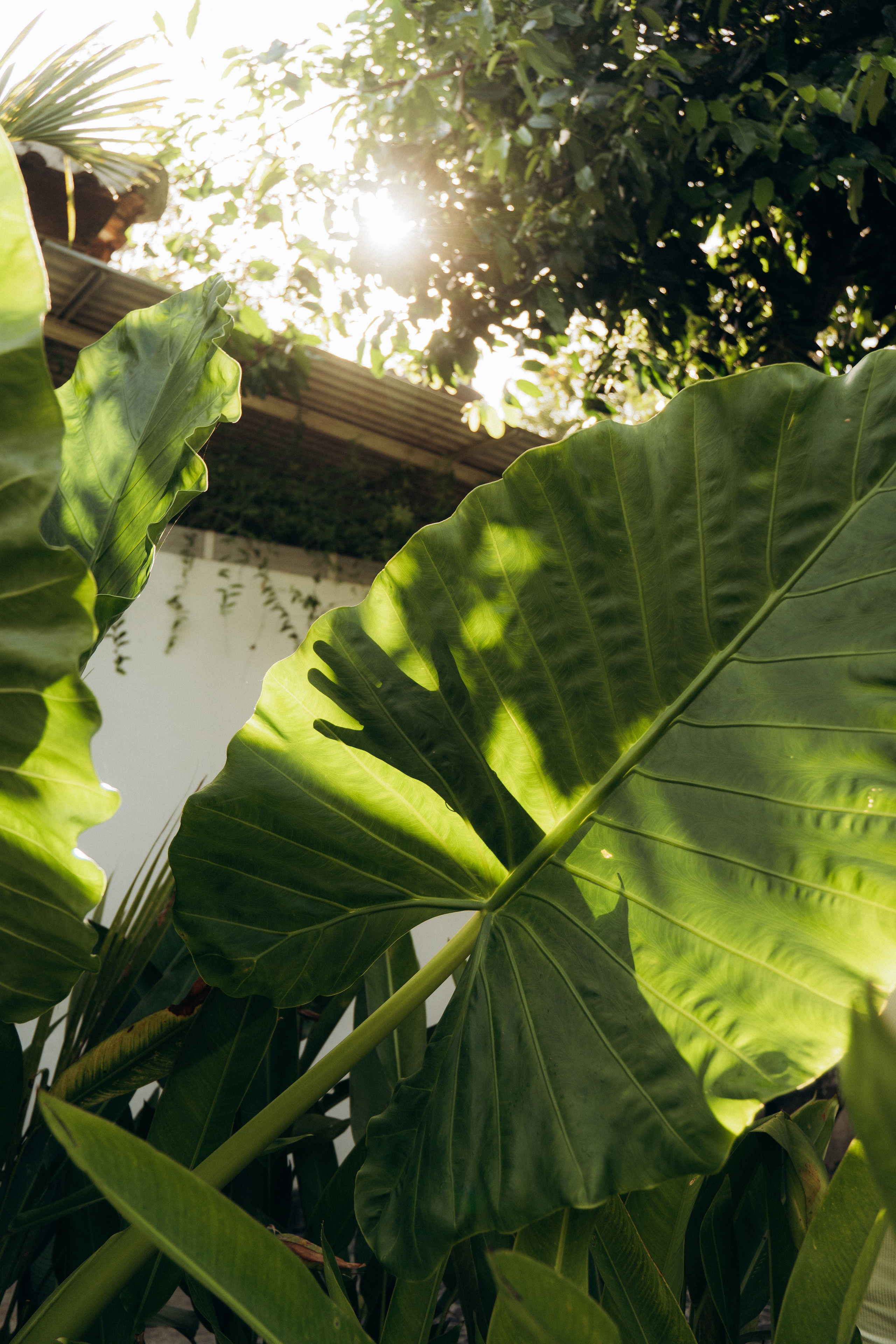 Julia. Olga Antipova — photographer