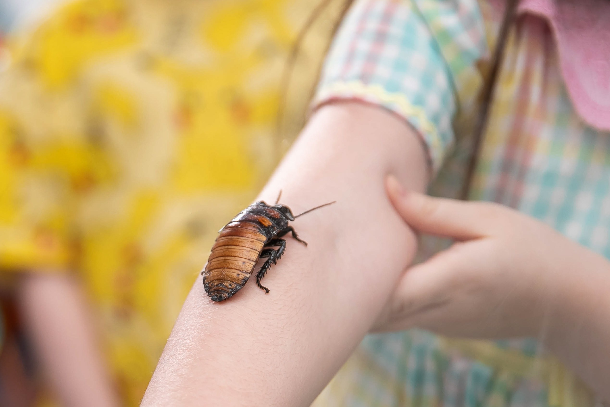 День рождения в стиле «Уэнсдэй». NesterovaMaria.ru