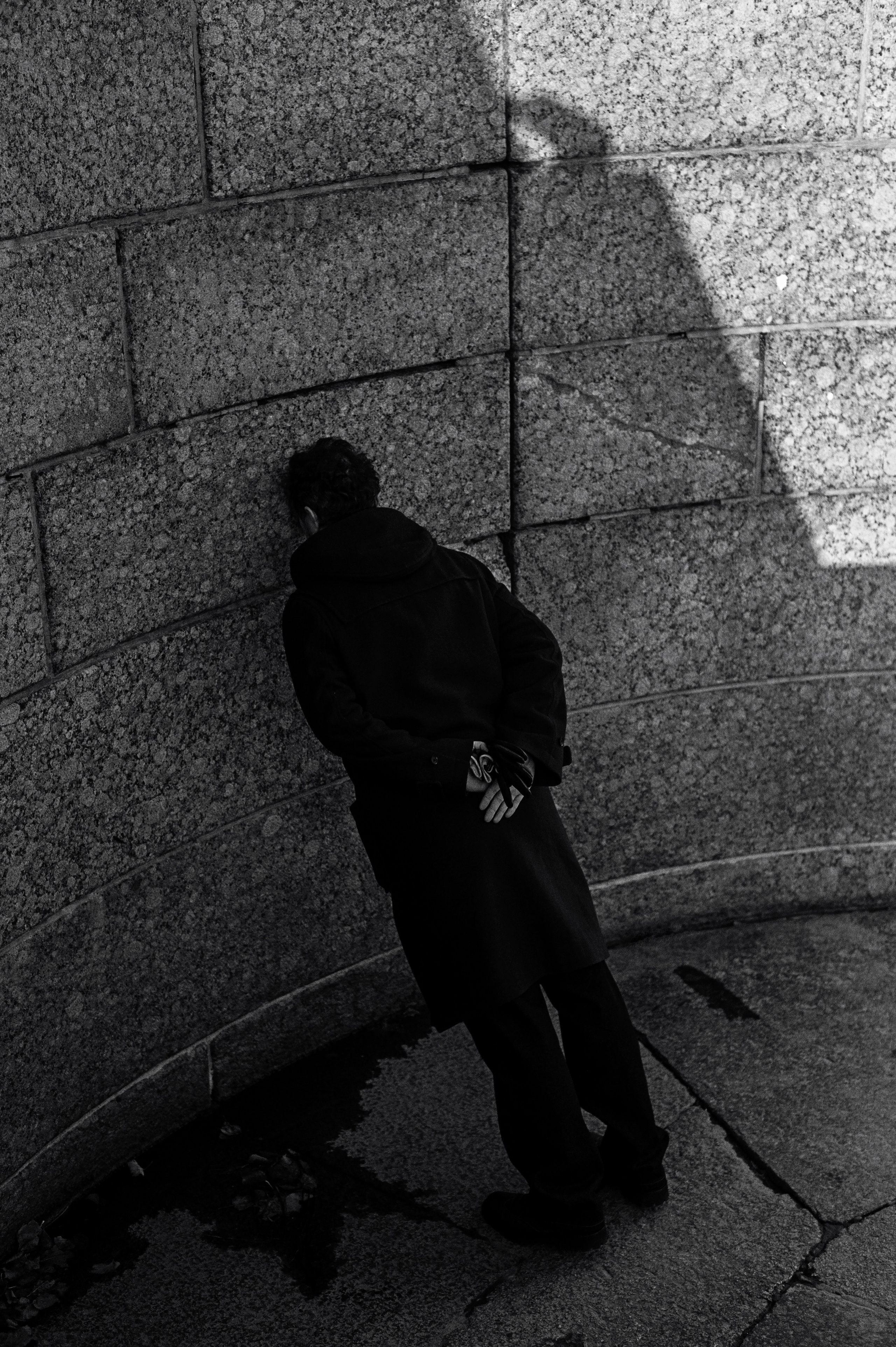 Владимр. Сергей Виноградов фотограф Россия Санкт-Петербург