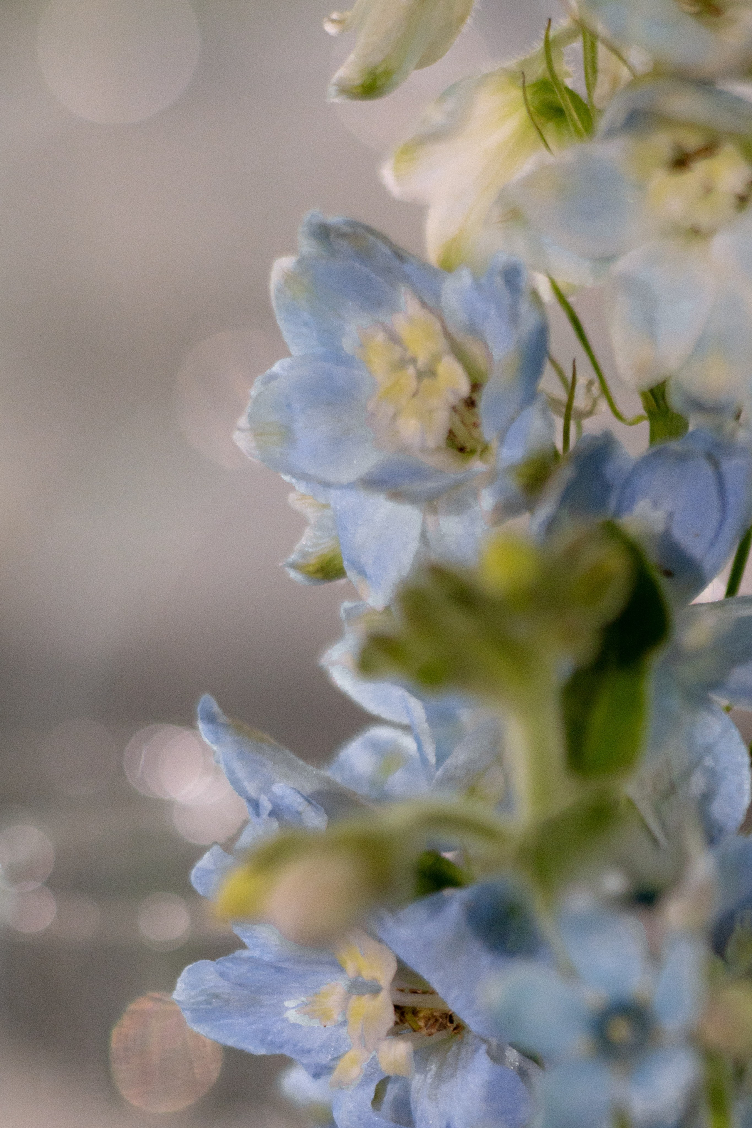 Анастасия & Никита. Оформление свадеб, декор свадеб Вера Маркова, Москва