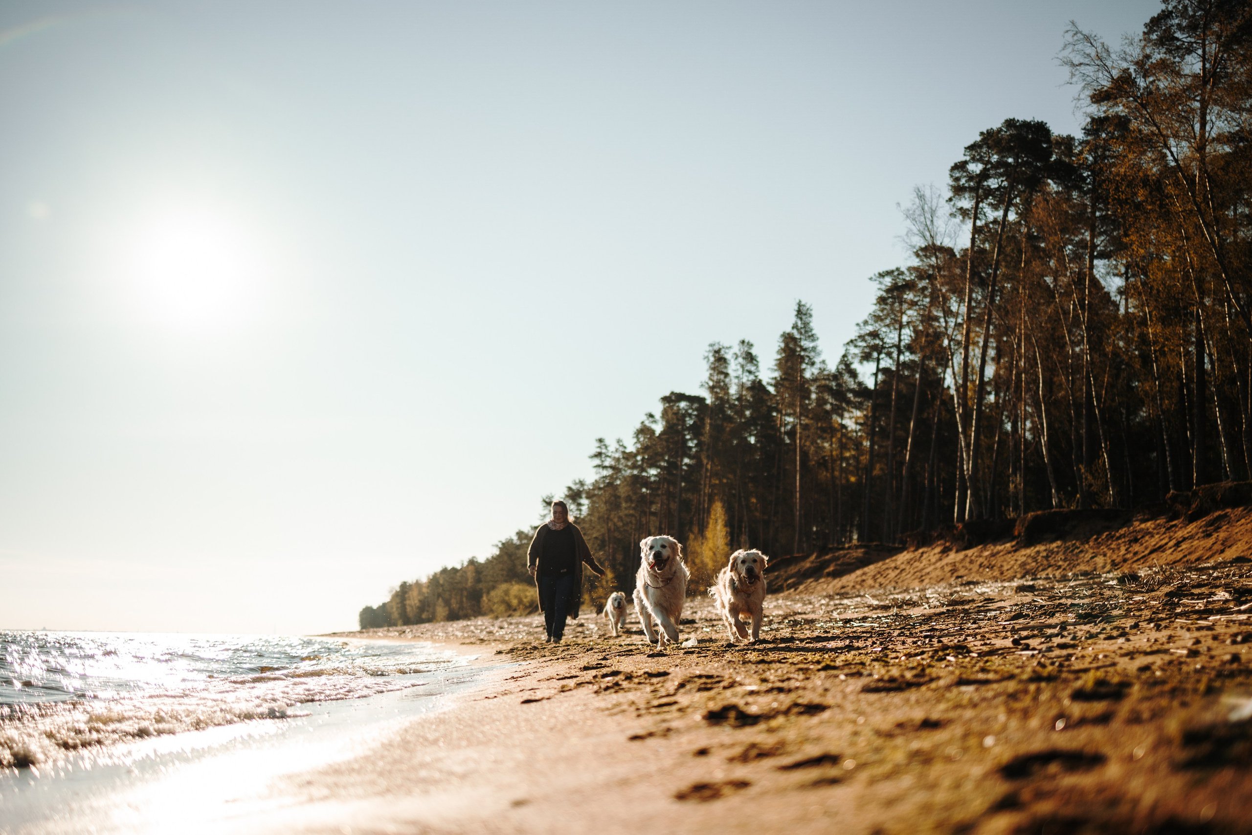 Катя и ее девочки. Фотограф — Анималист | Санкт-Петербург