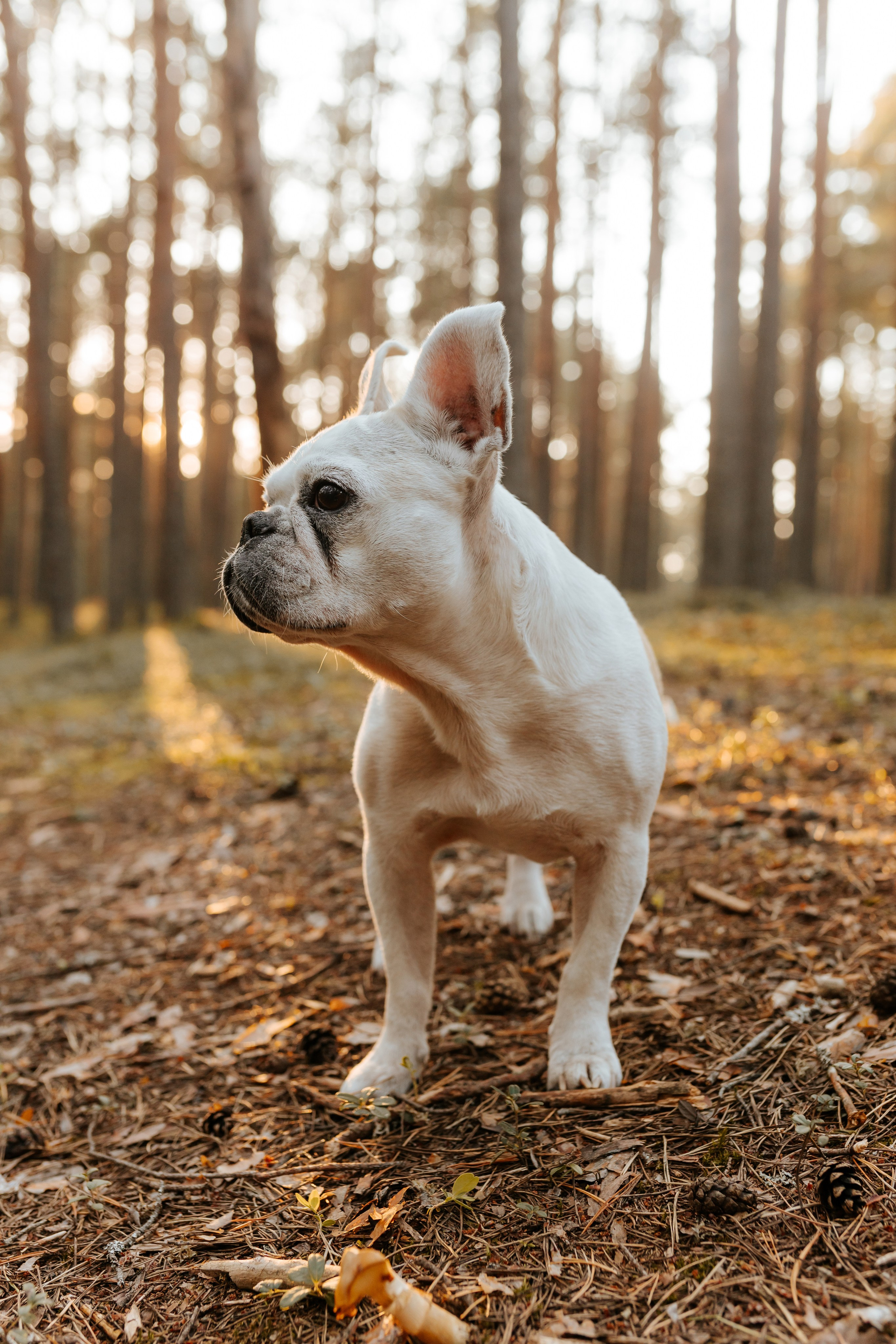 Семейная фотосессия. Фотограф Тверь. Свадебные, семейные, индивидуальные фотосессии