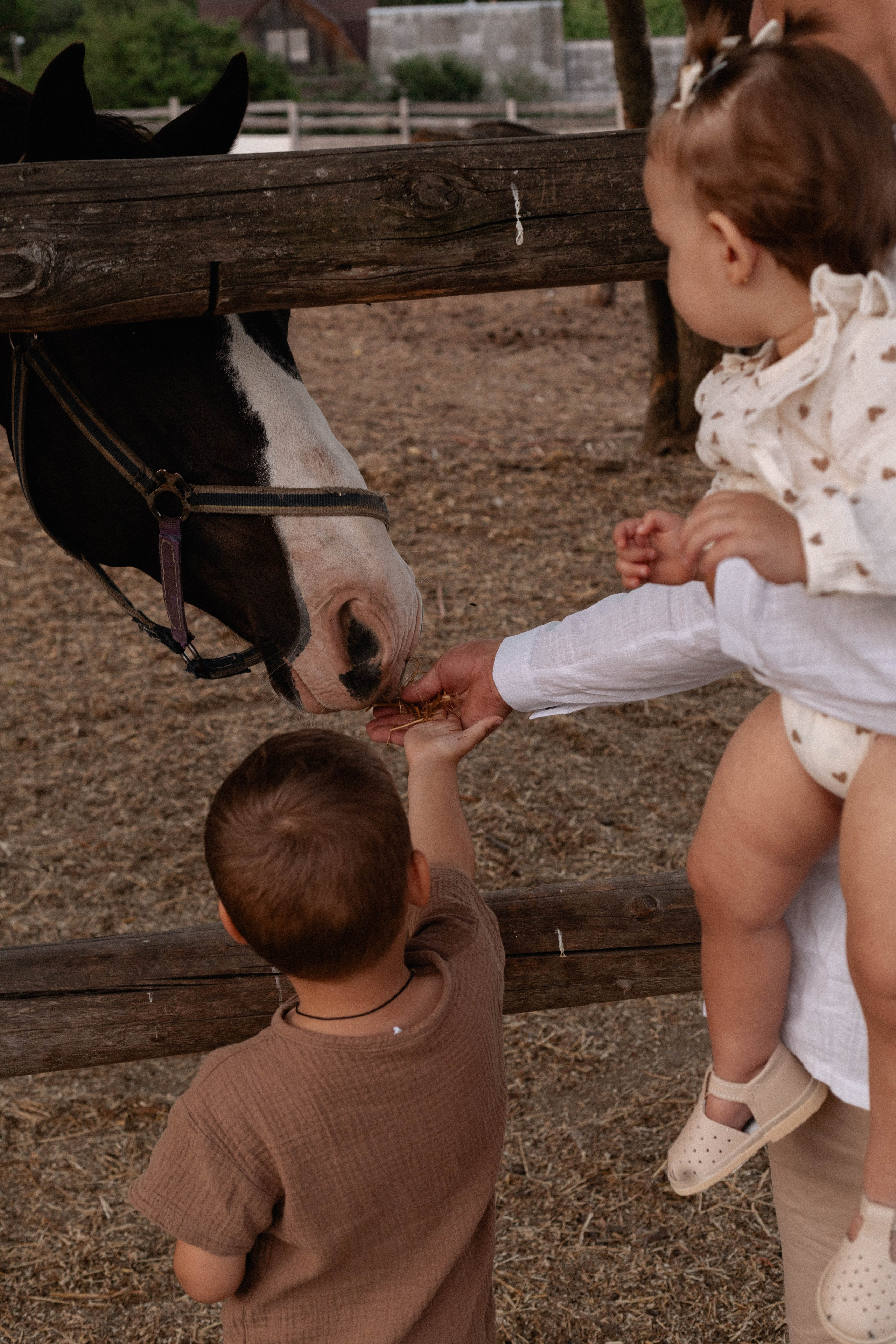 Годик Нине. Свадебный и портретный фотограф Соломко Диана