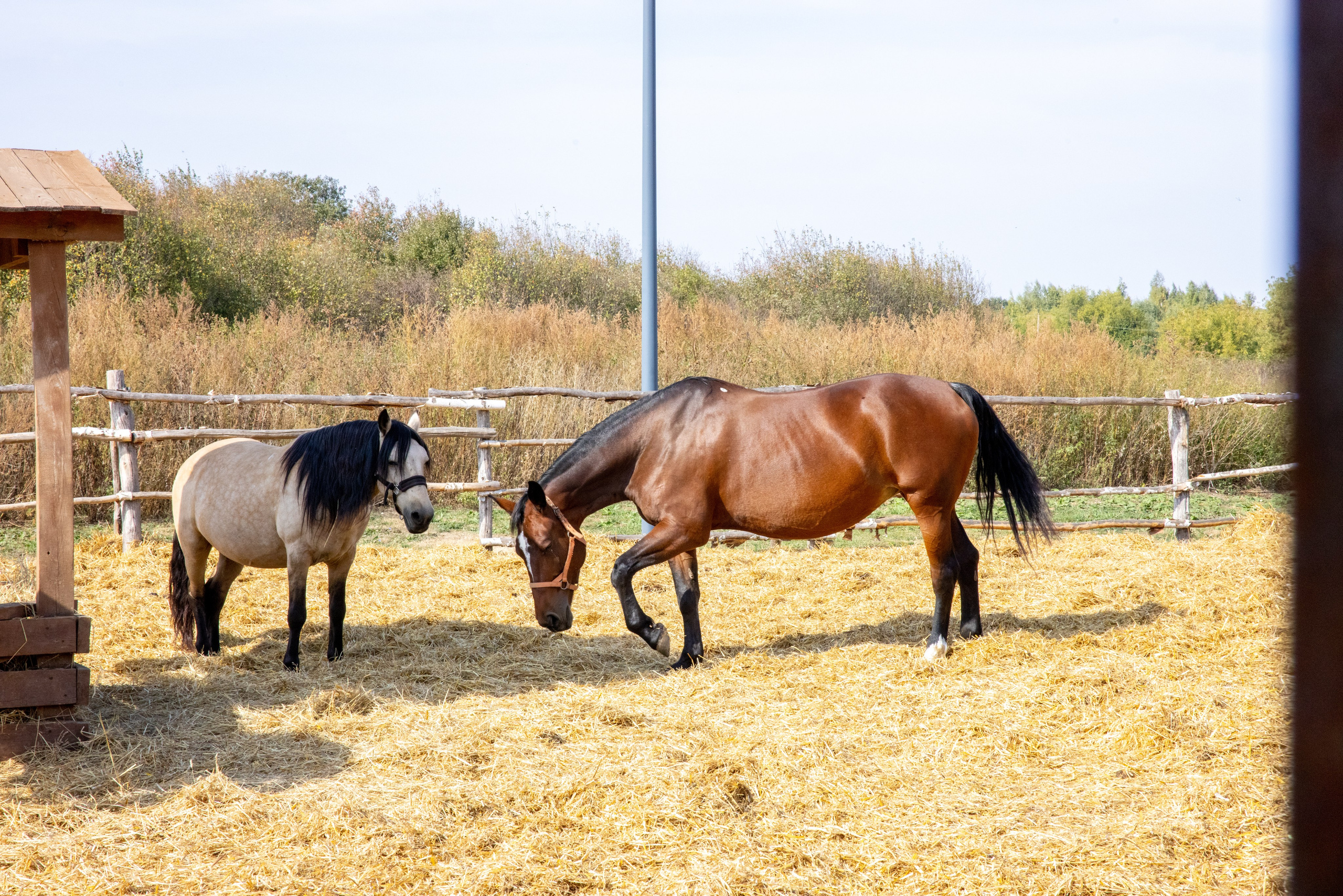 Поездка на поле Кулеково. Фотограф в Туле Крупский АнДРей. Фотостудия «КАДР71» в Туле