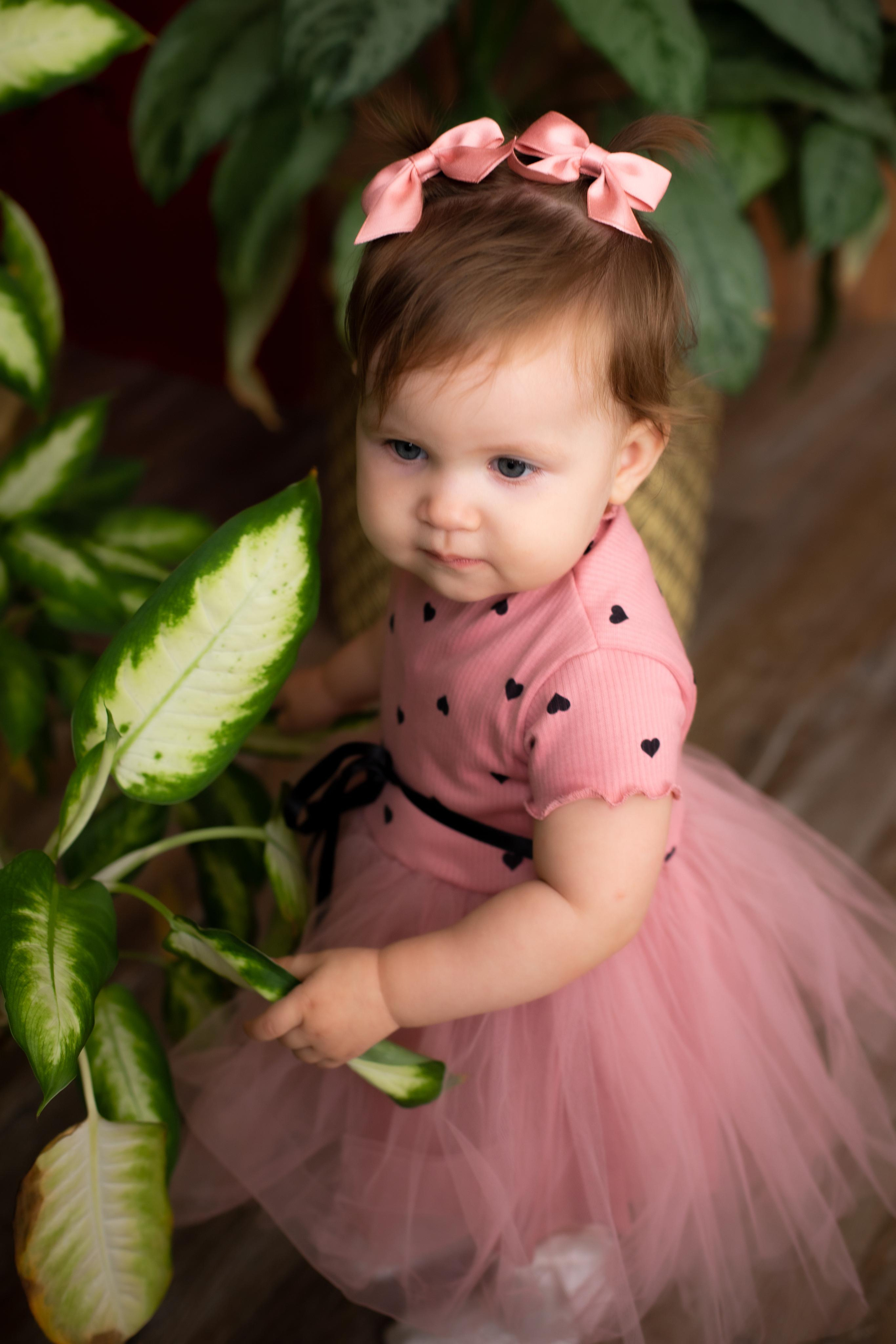 Карина и семья (Тоффи Видное). Семейный и свадебный фотограф Видное Москва Екатерина Пятова