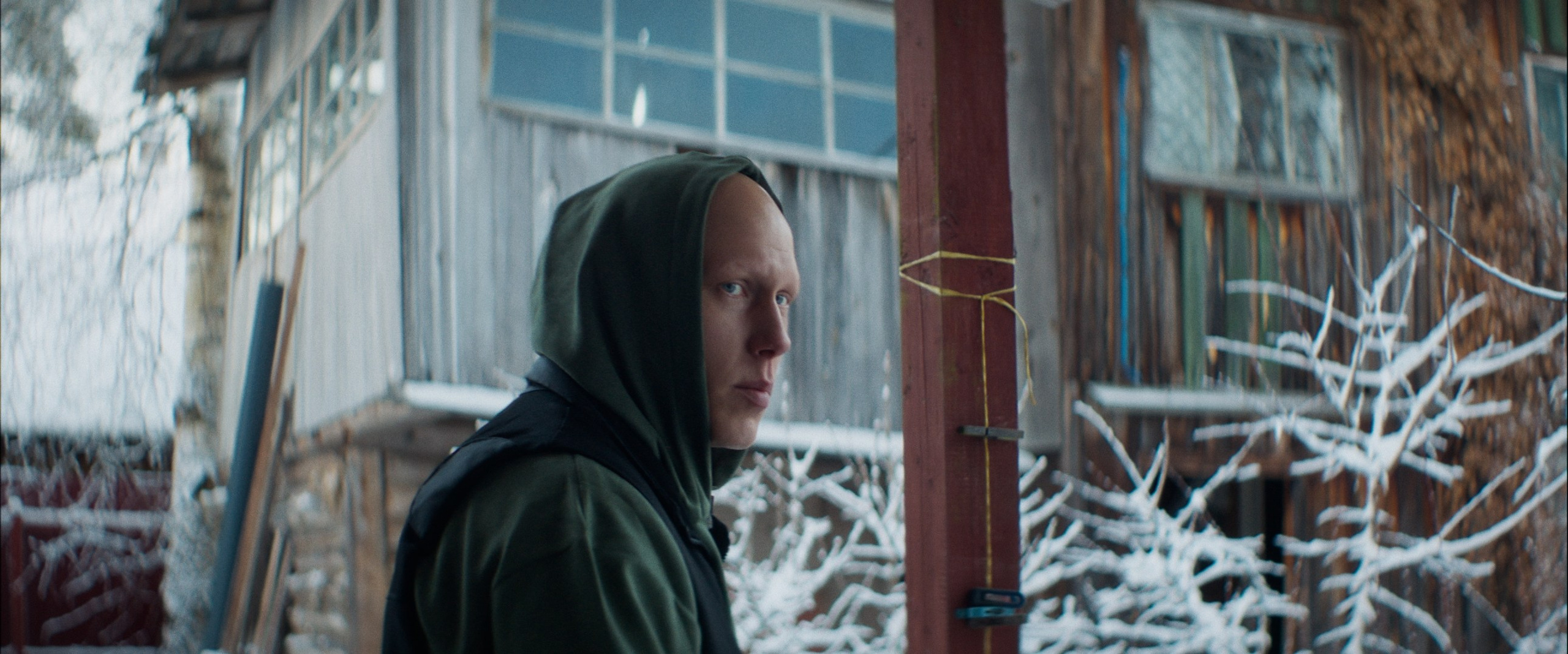 Мяу! (short film). Colorist Ivan Serzhanov