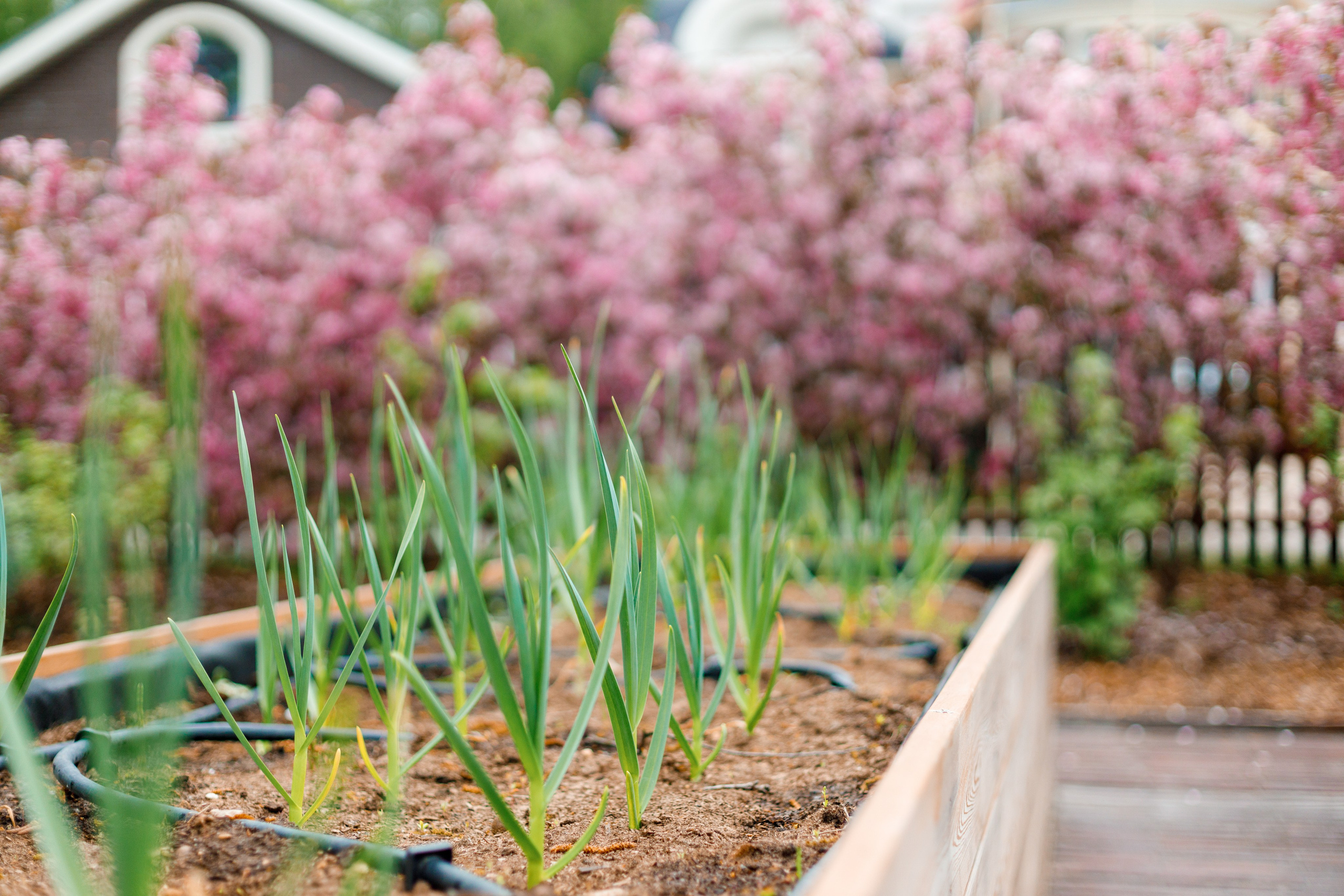День рождения Полечки. Репортажный фотограф Борис Геер