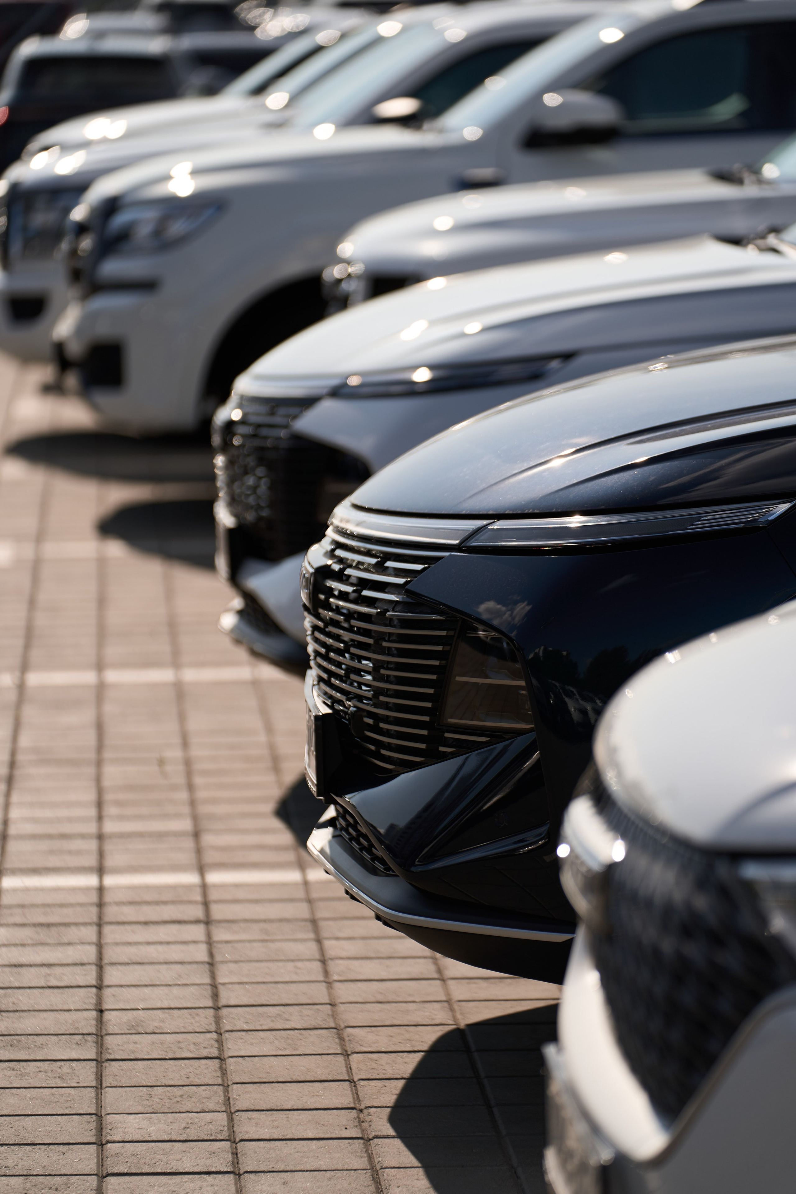 Презентация HAVAL. Фото, которые продают эмоции. Сергей Богомолов. Свадебный и семейный фотограф