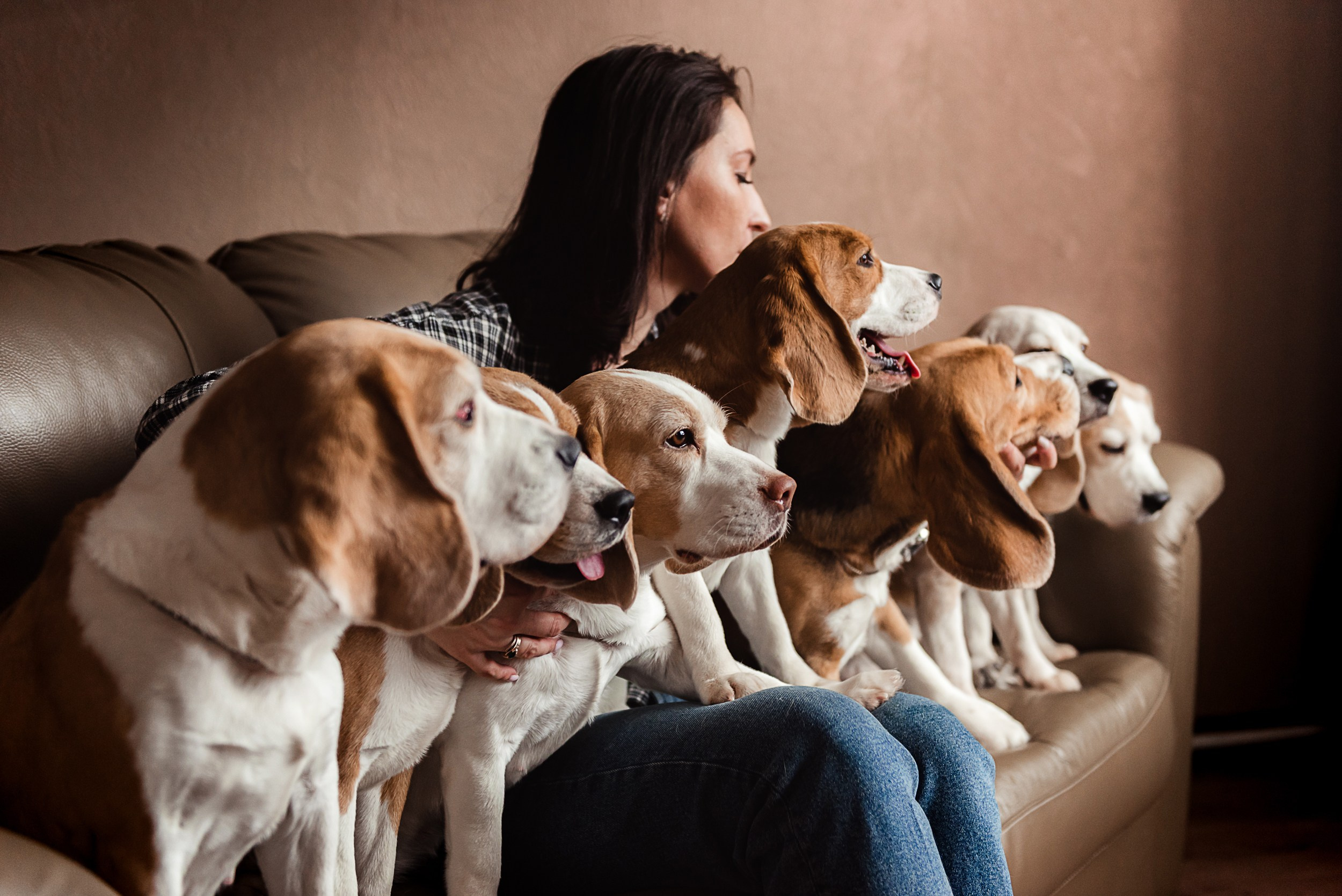 Оля, бигли и семья. Семейный Фотограф в Москве Ирина Хохлова