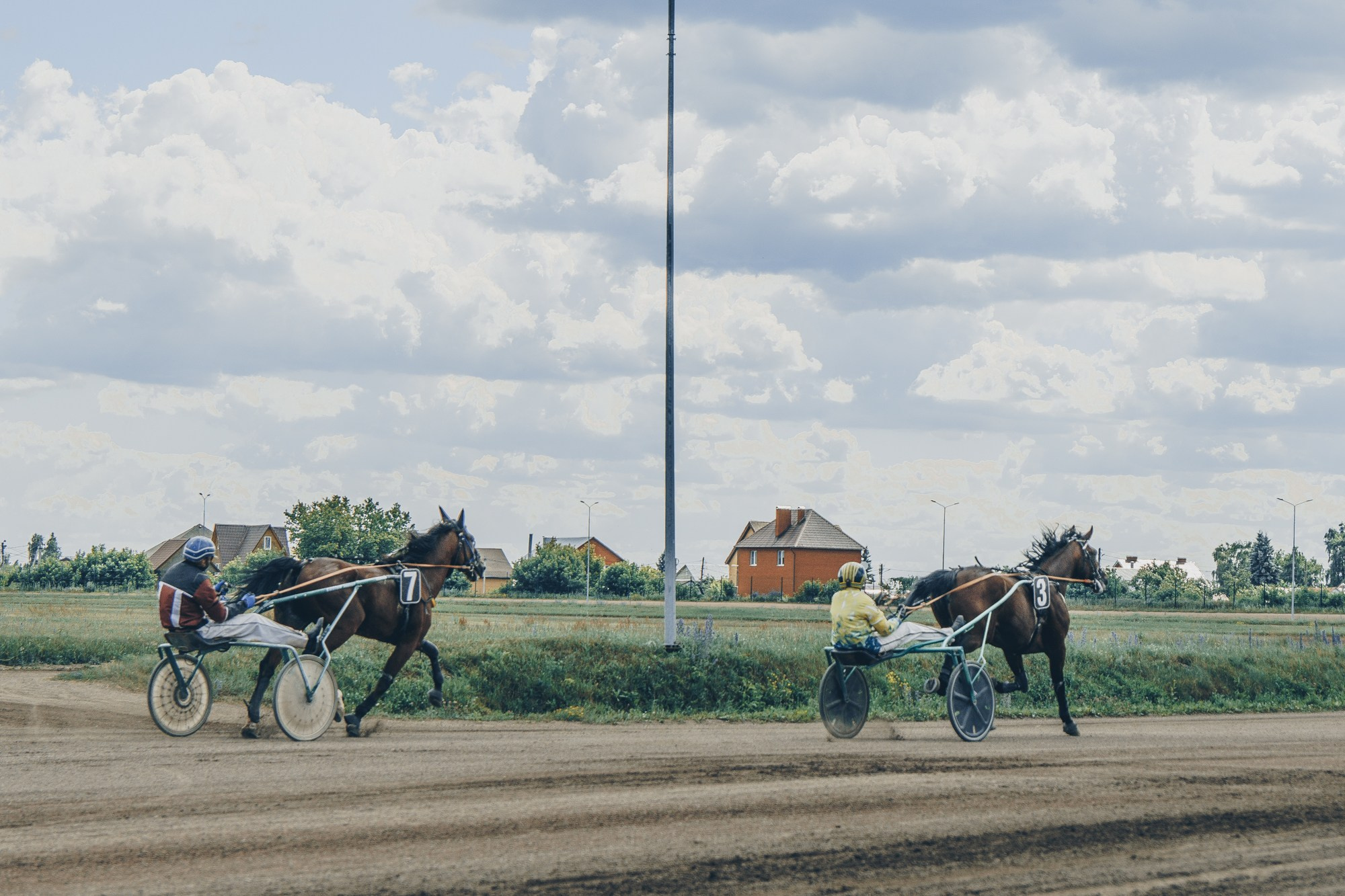 Раменский ипподром. Фотограф Яна Журавская Спб / Москва