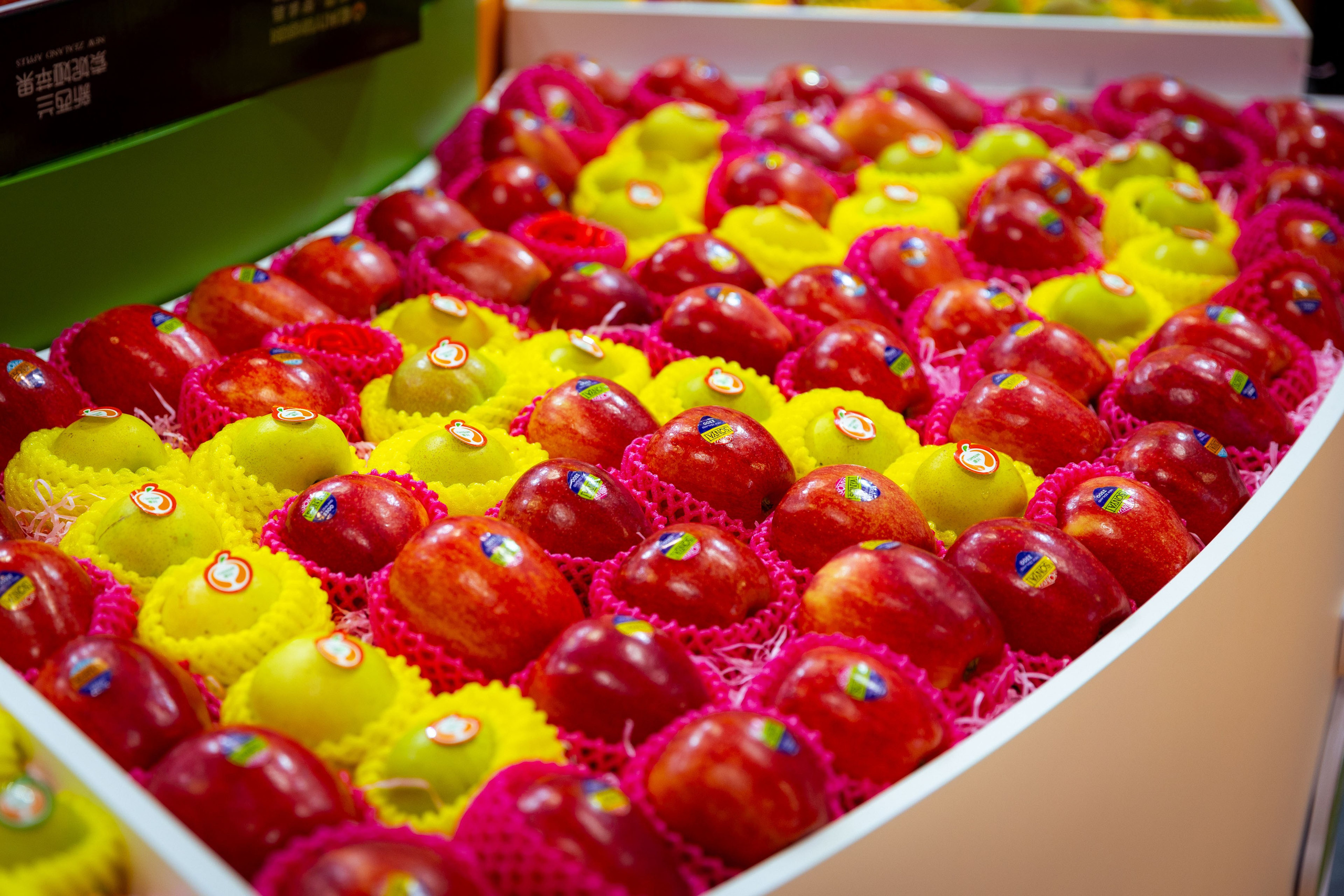 Asia Fruit Logistica [Гонконг 4–6 сентября 2024 г.]. Фотограф Виноградов Константин