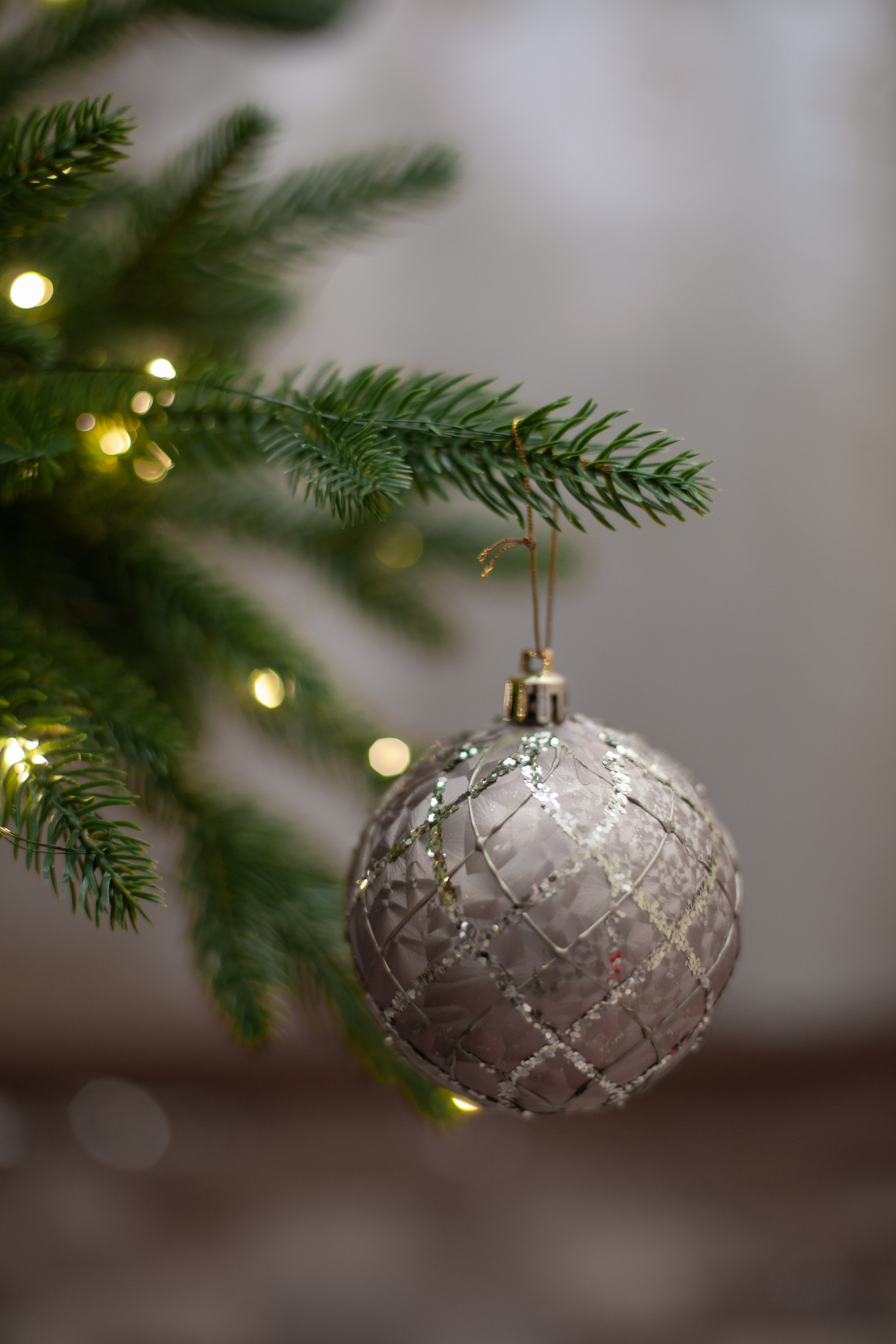 Домашняя. Фотограф в Томске Евгения Гуляева