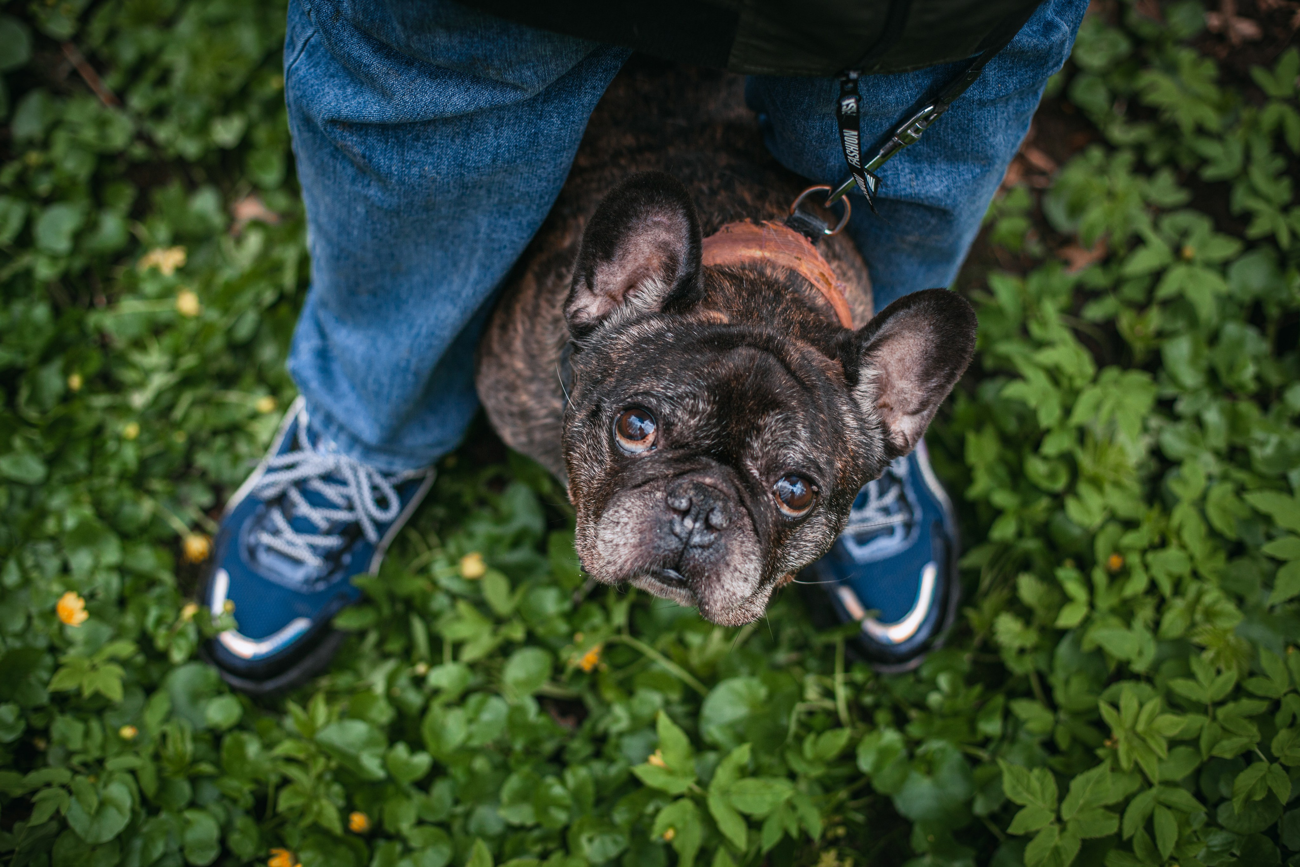 Фотограф-анималист Татьяна Степанова