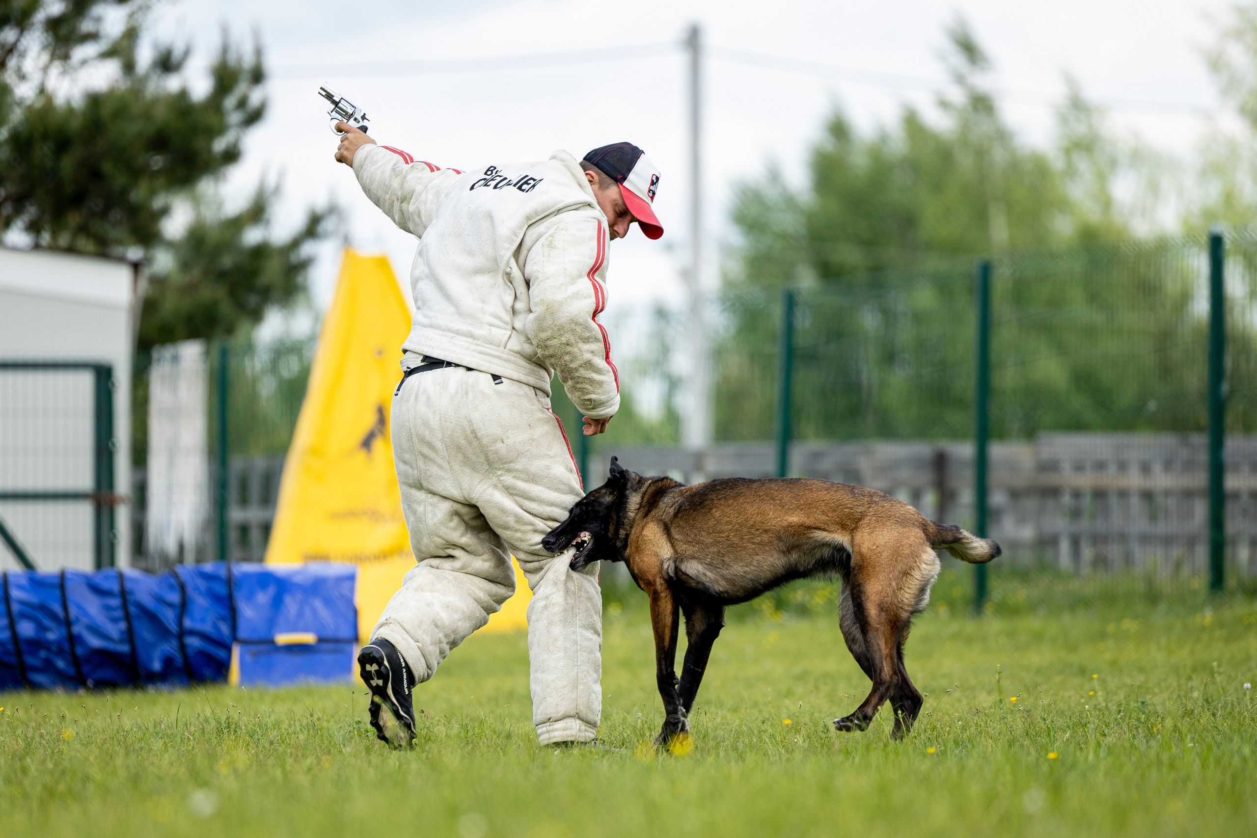 Испытания по мондьорингу в Нижнем Новгороде. Фотограф-анималист Анна Маринич