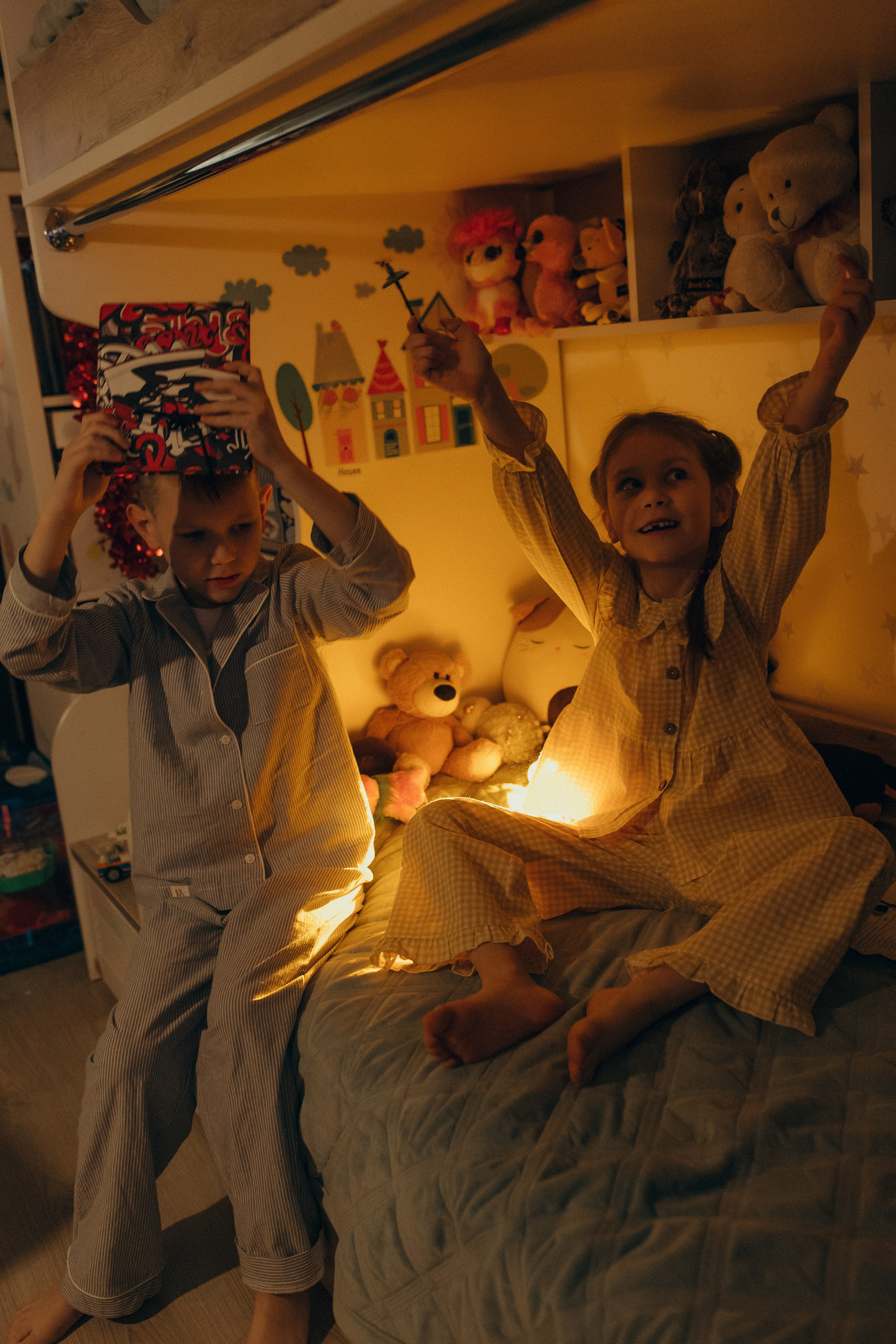 Домашняя история. Meryfotoidea