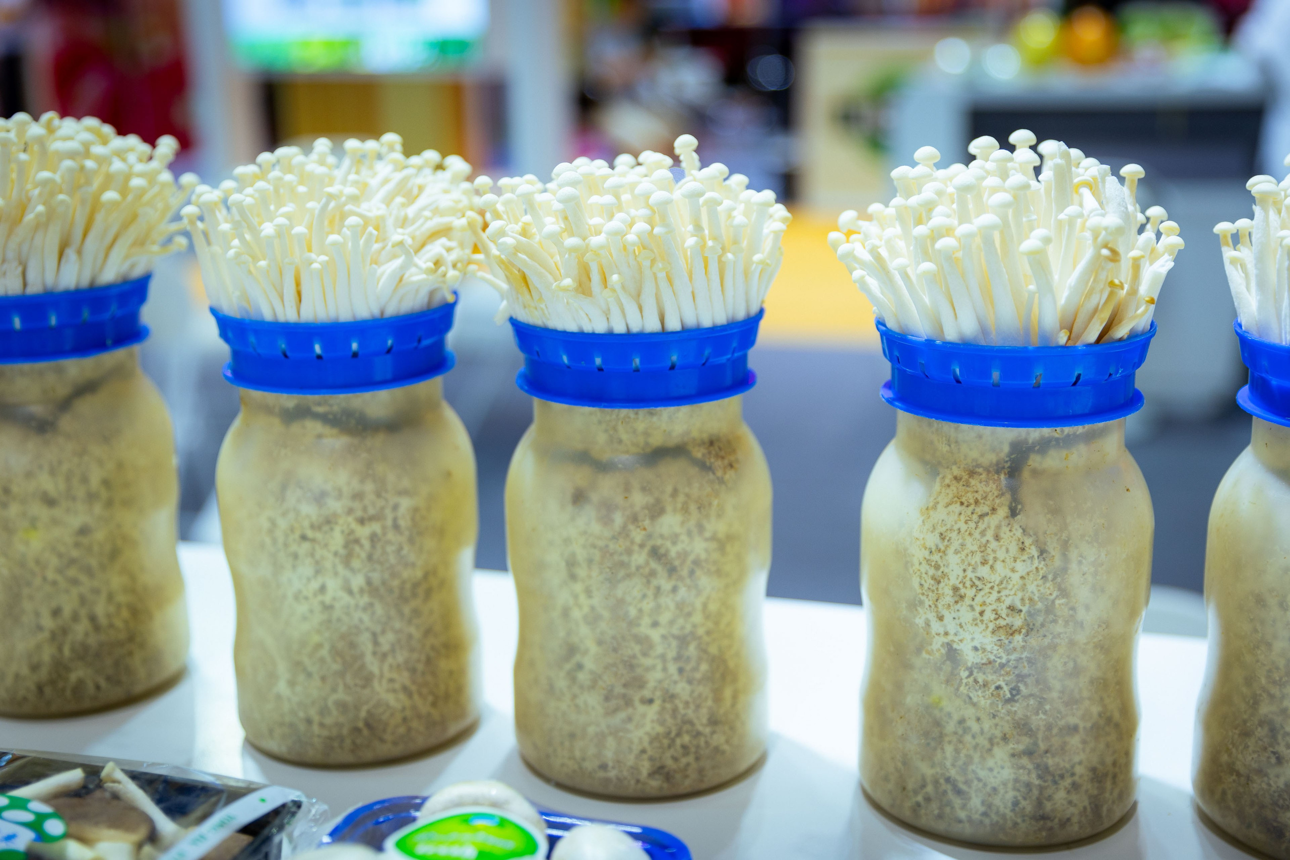 Asia Fruit Logistica [Гонконг 4–6 сентября 2024 г.]. Фотограф Виноградов Константин