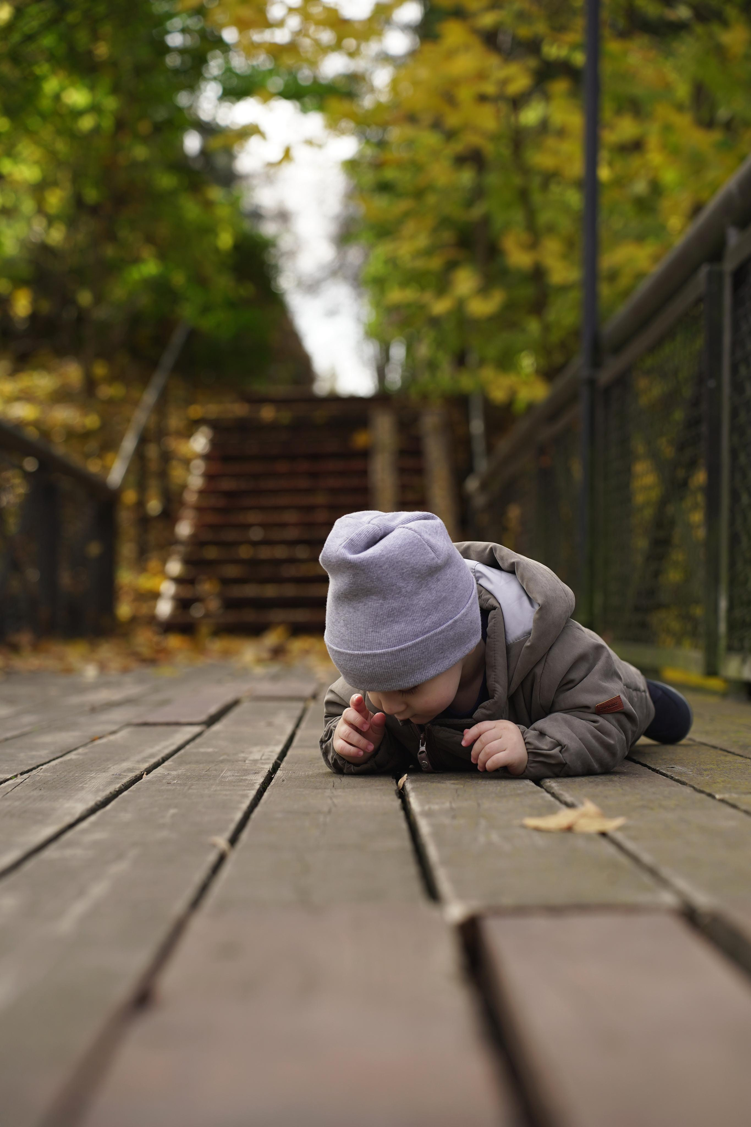 Прогулка Осень. Фото / Видеосъемка в Москве