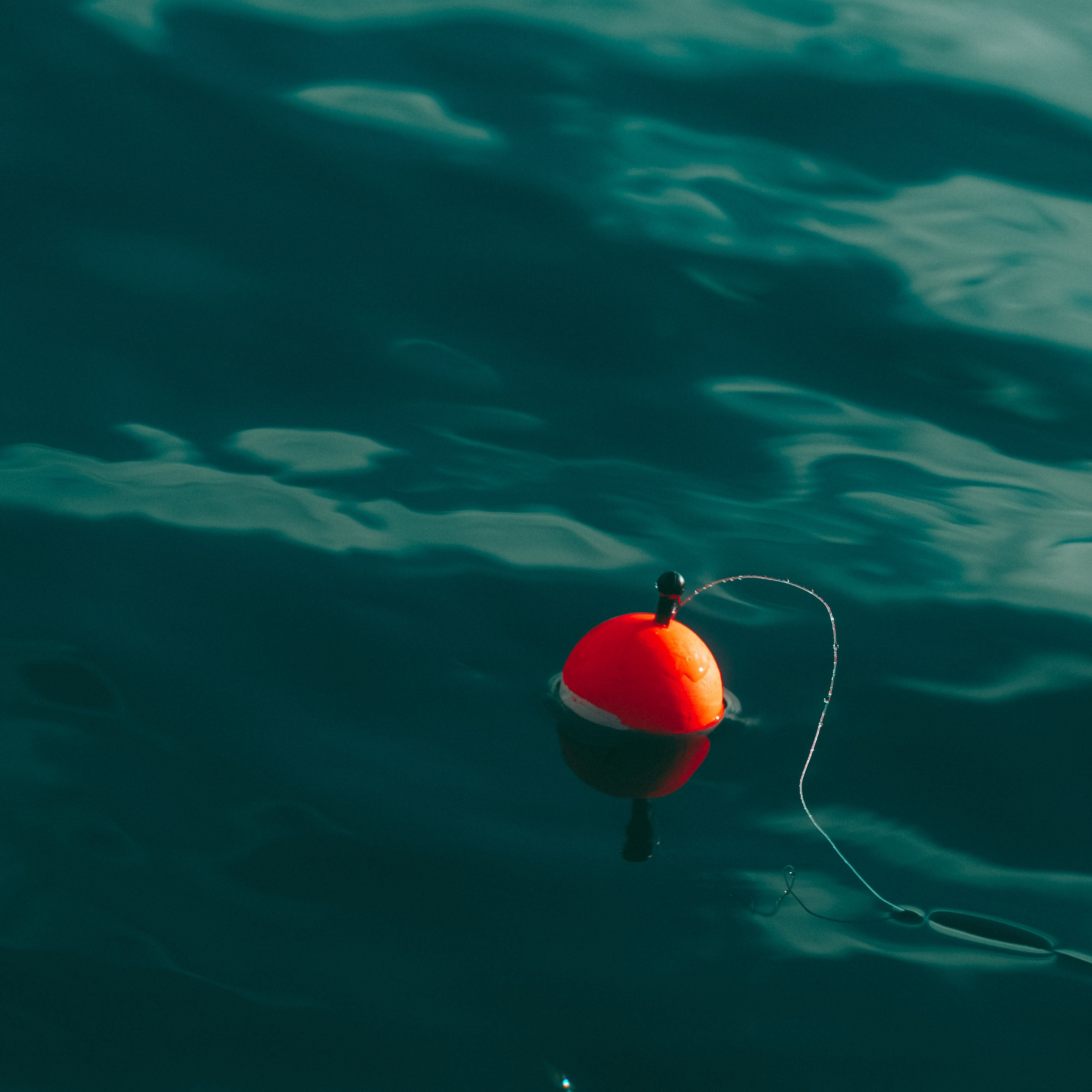 Вероника. Семейный фотограф Ульяна Сиденко — Иркутск