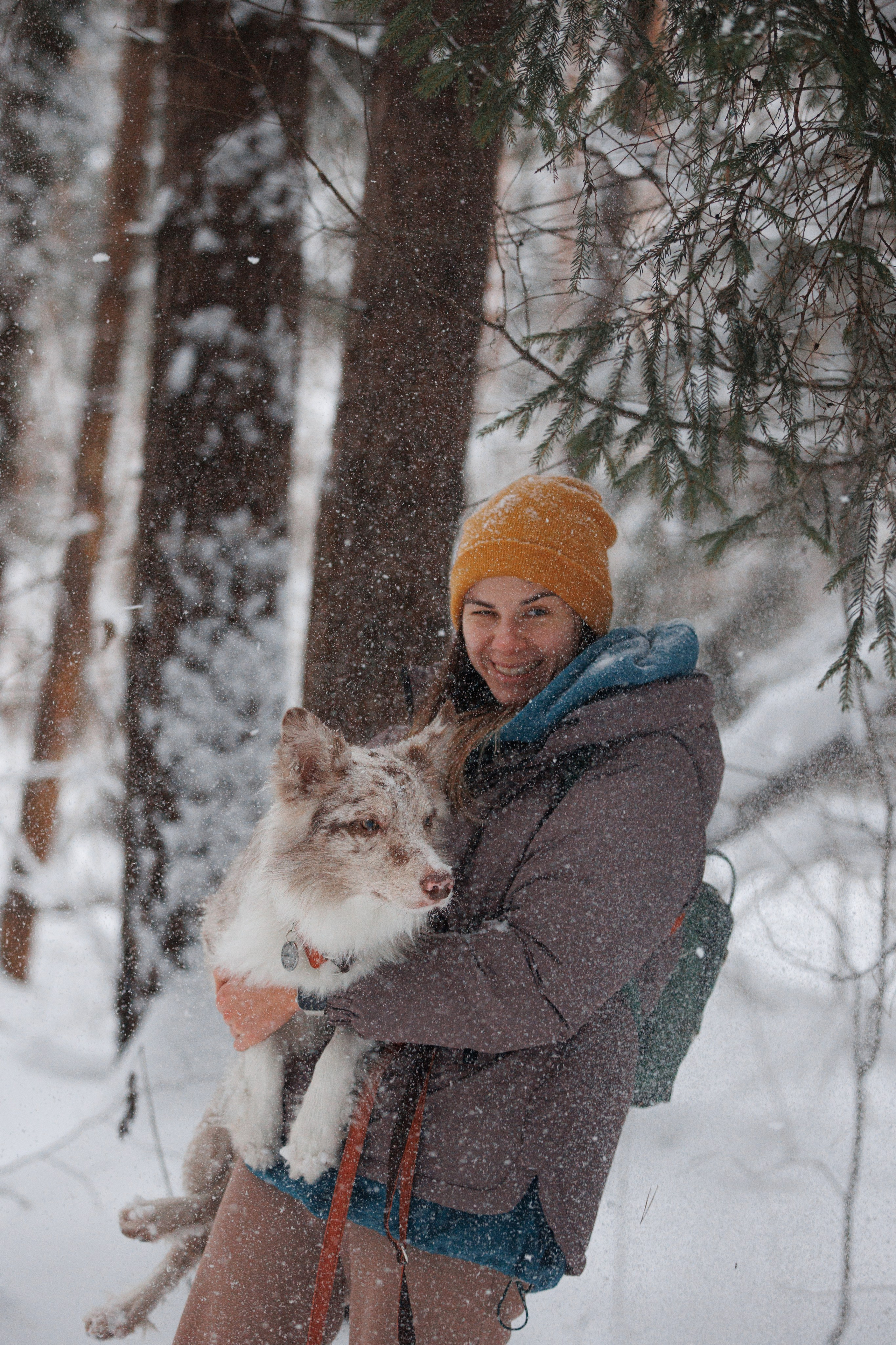Даша и компания. Фотограф анималист Кристина Карпова, Москва