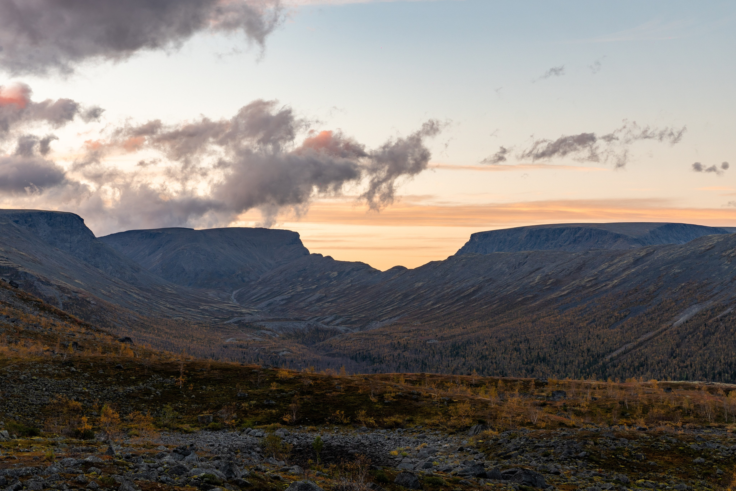 Золотая осень в Хибинах. Daria wanderer photography