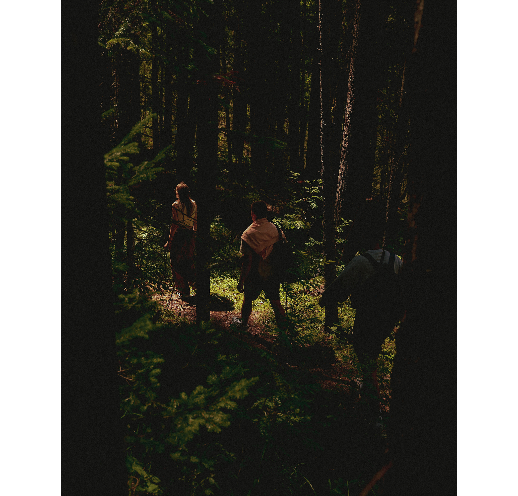 Summer hike. Фотограф/дизайнер в Екатеринбурге Хитрый Дмитрий