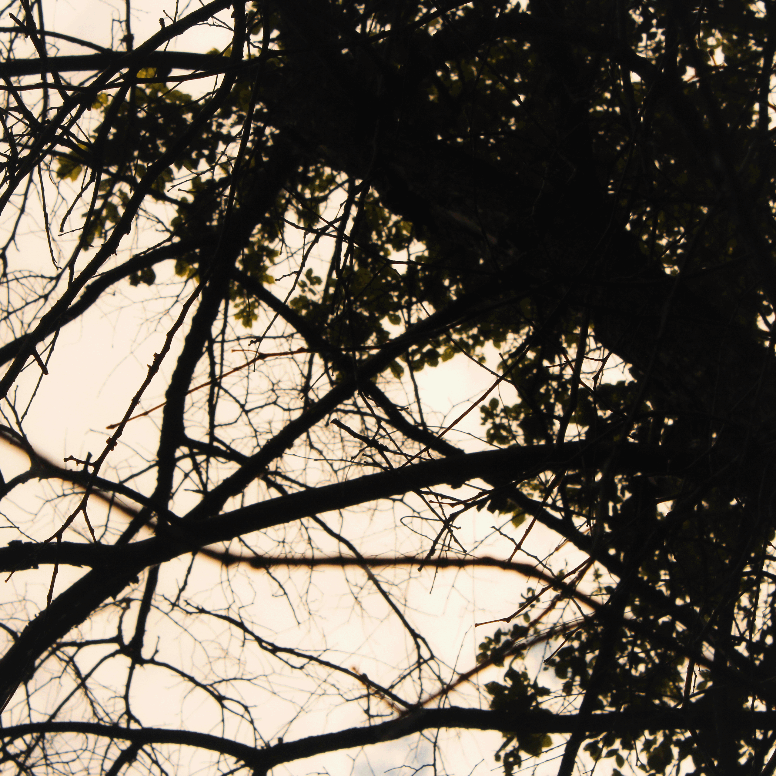 Summertime. Фотограф/дизайнер в Екатеринбурге Хитрый Дмитрий