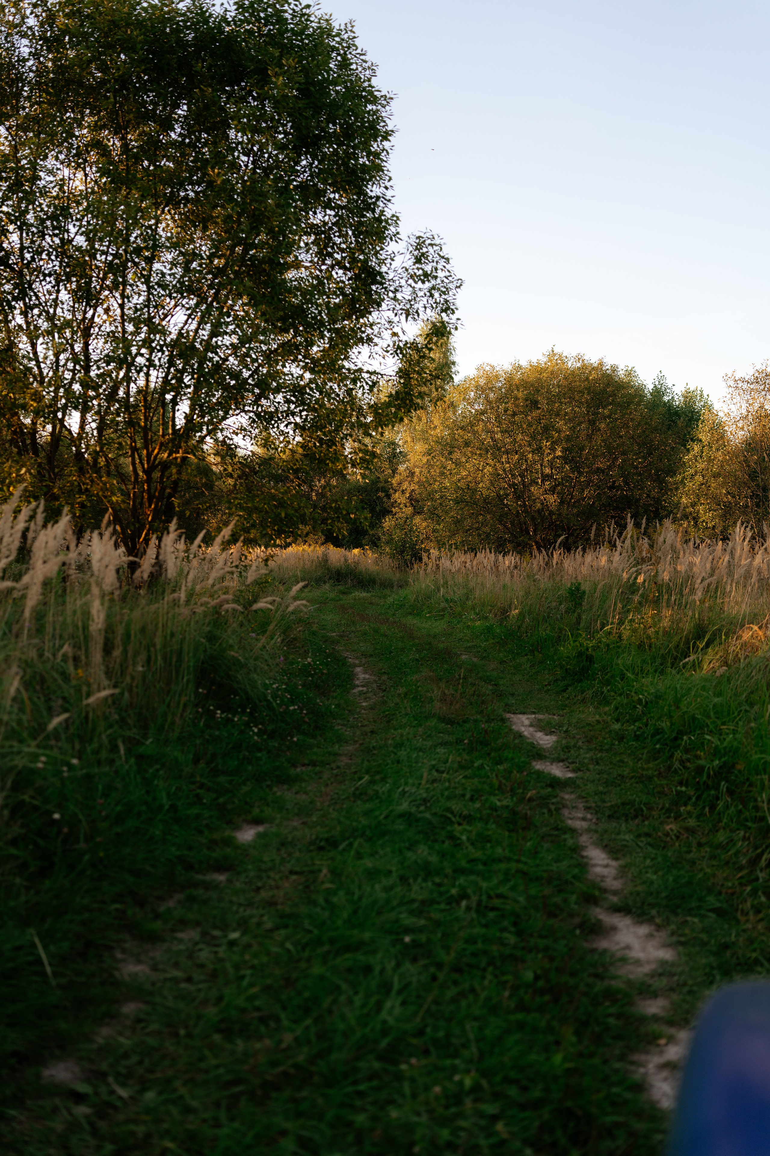 Дугна. Vlad Trykov