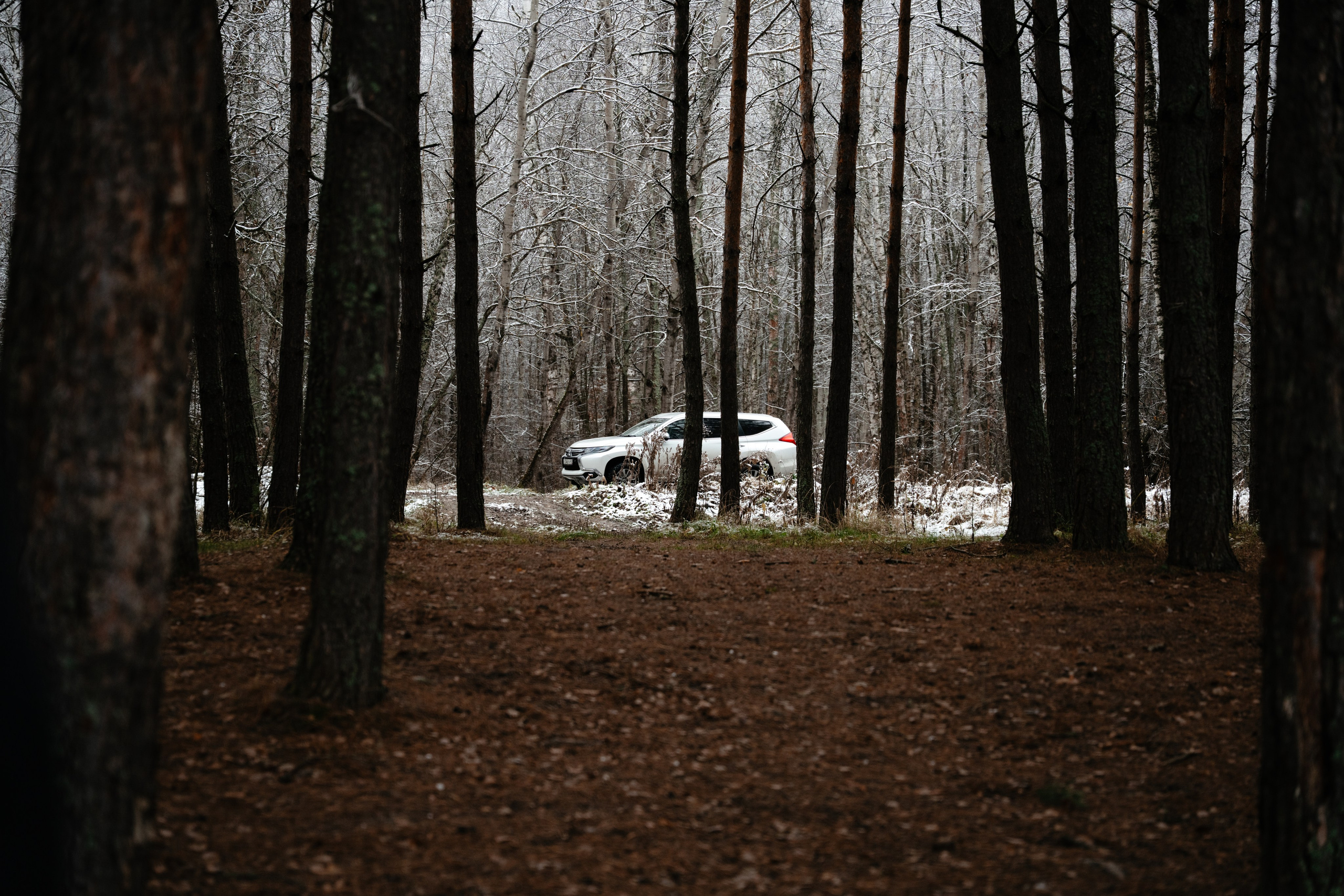 Суворовские карьеры. Vlad Trykov