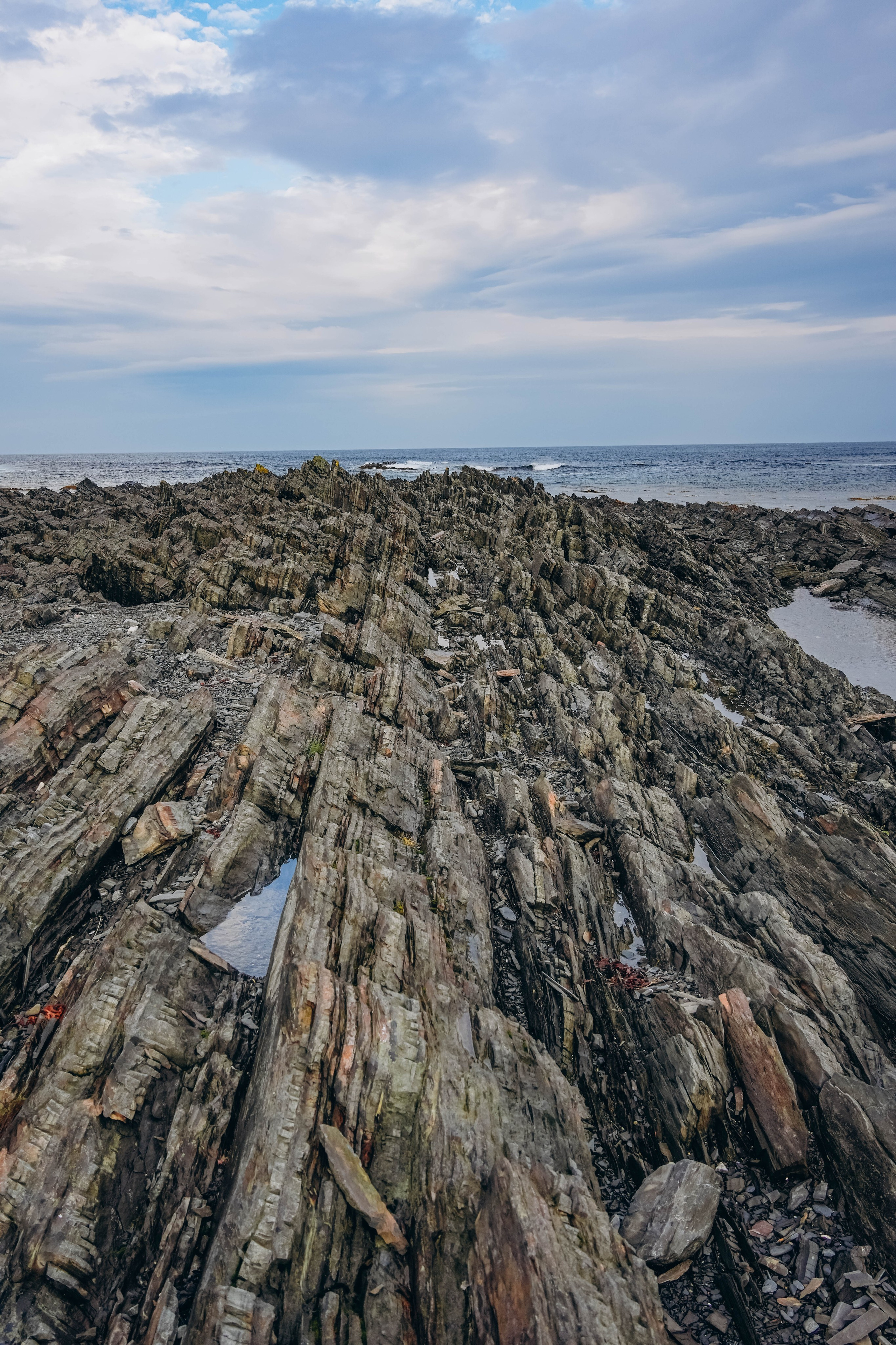 СЕВЕР. Event фотограф Степанова Александра