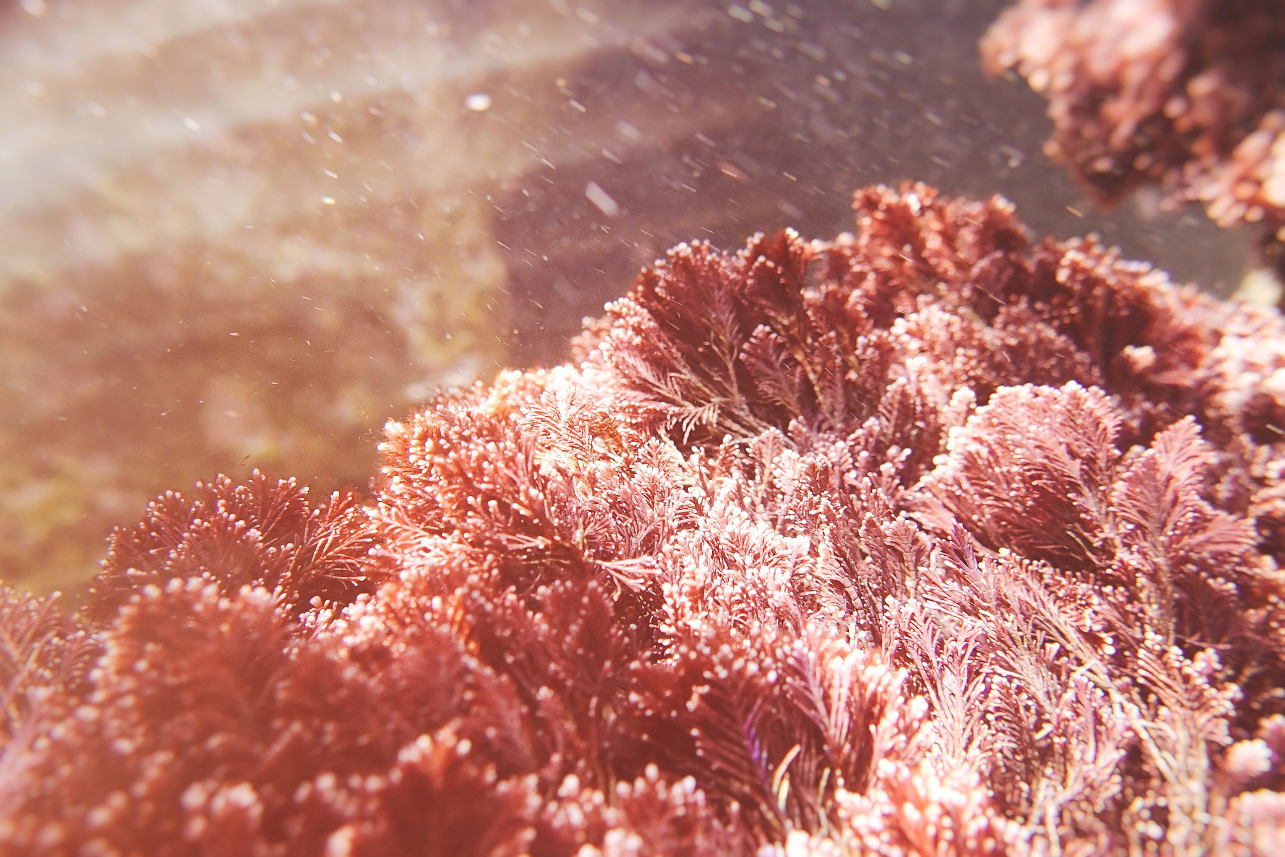 Испания. Свадебный фотограф Копков Геннадий