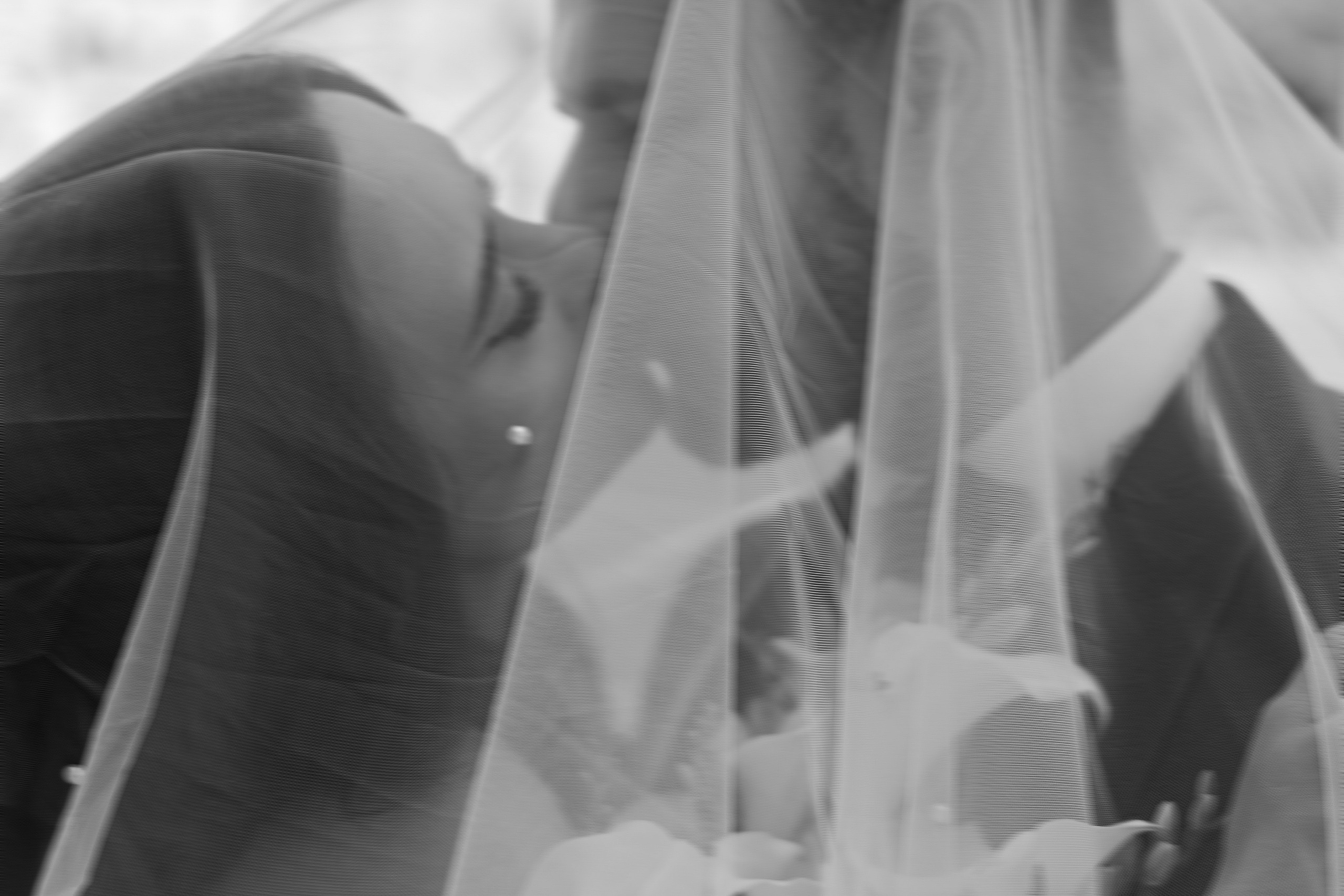 Маргарита и Артур. Фотограф анималист в Москве и Санкт-Петербурге Свиридова Анна