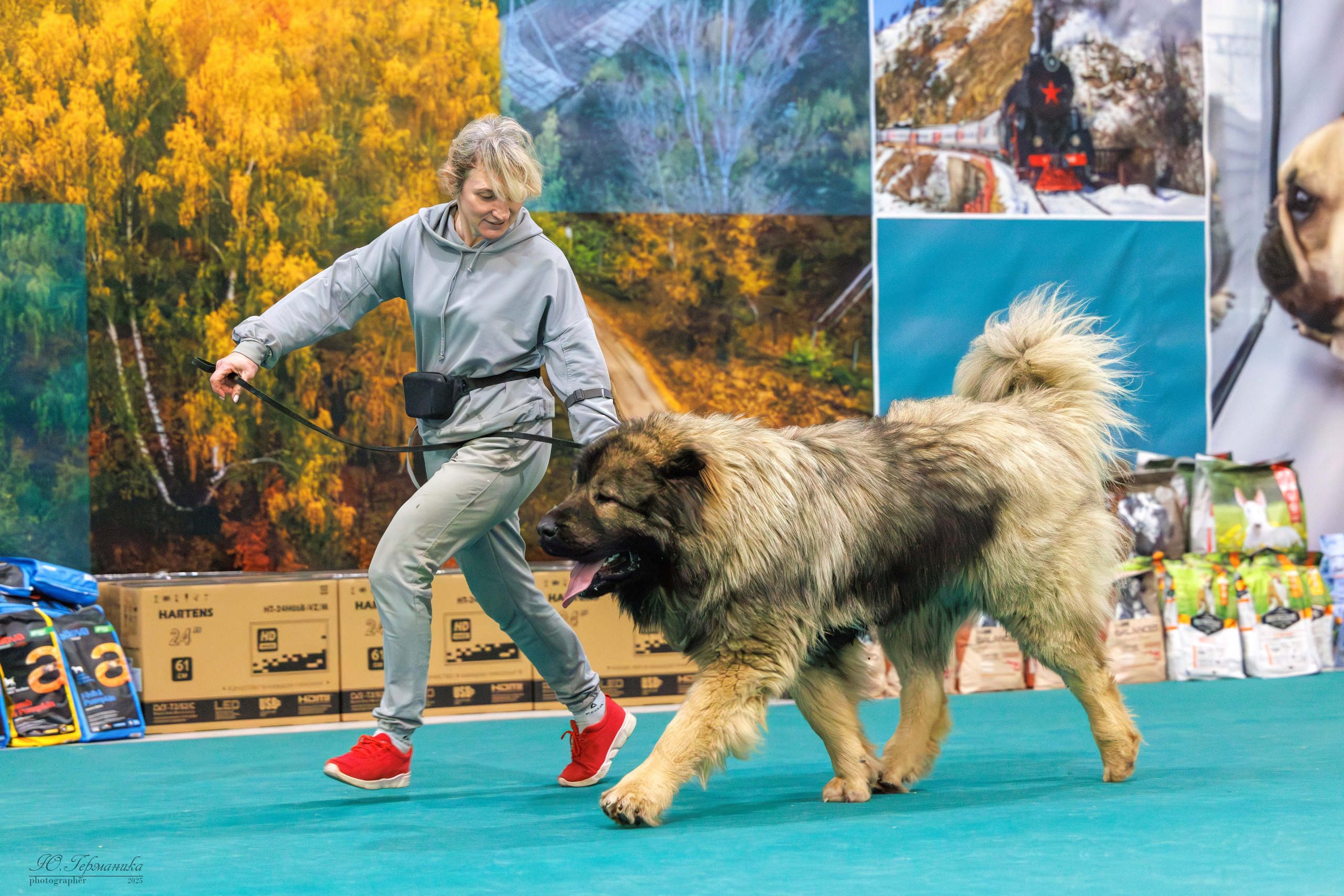 Гран-При 8.02.2025 и Крокус 09.02.2025. Фотограф-анималист Юлия Германика