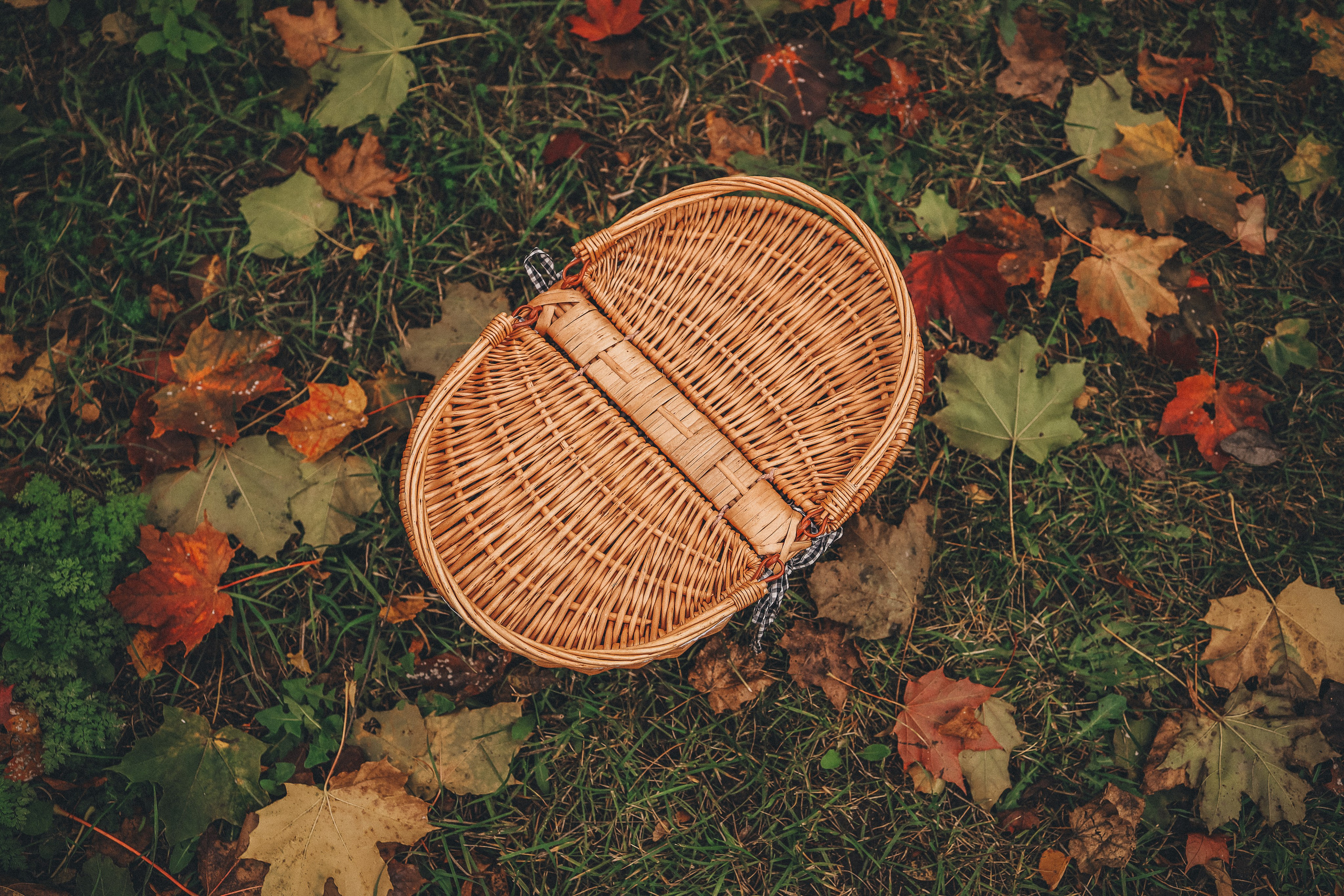 Путь любви от первого взгляда: Love Story, Свадьбы, Венчания, Беременность, Крещения. Профессиональный фотограф в Санкт-Петербурге Александр Волосенцев