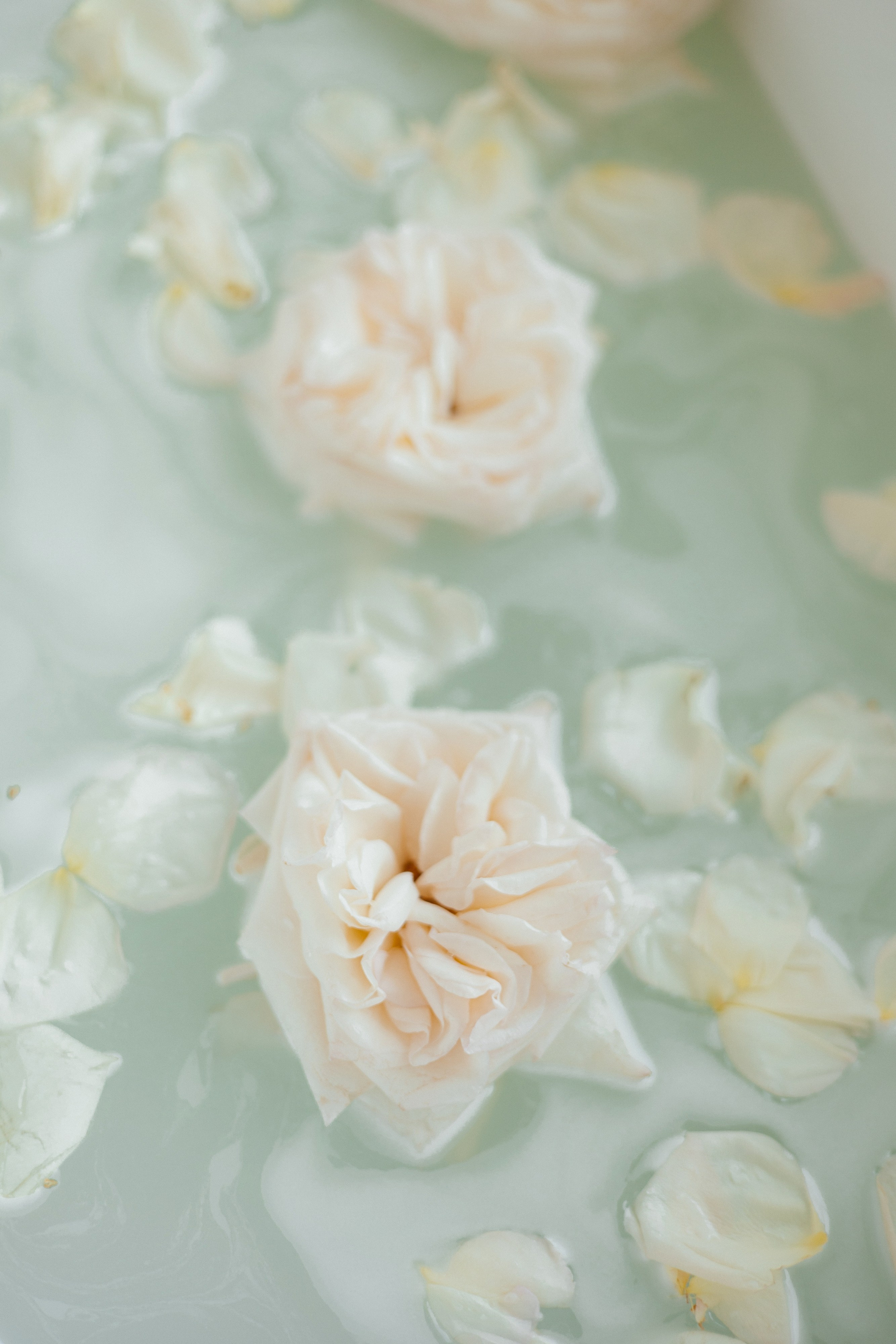 Ангелина и Сергей. Свадебный фотограф Минск РБ