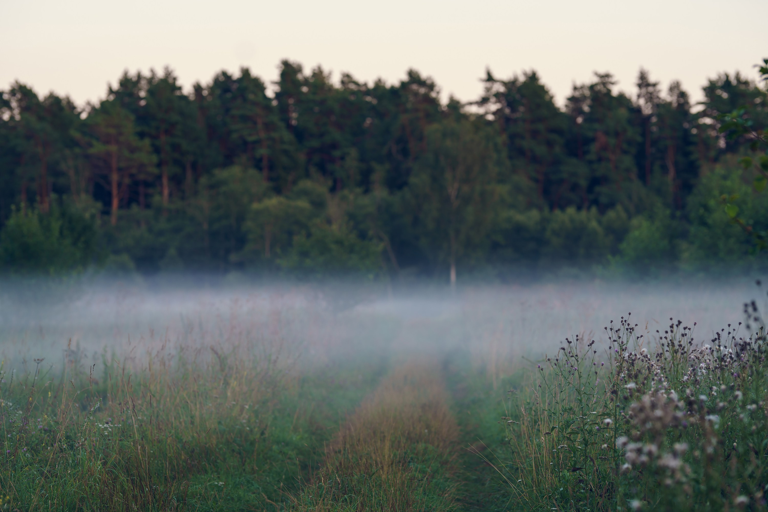 Фотографии Национальный парк Угра. Фотограф спортивные события, недвижимость, турбизнес