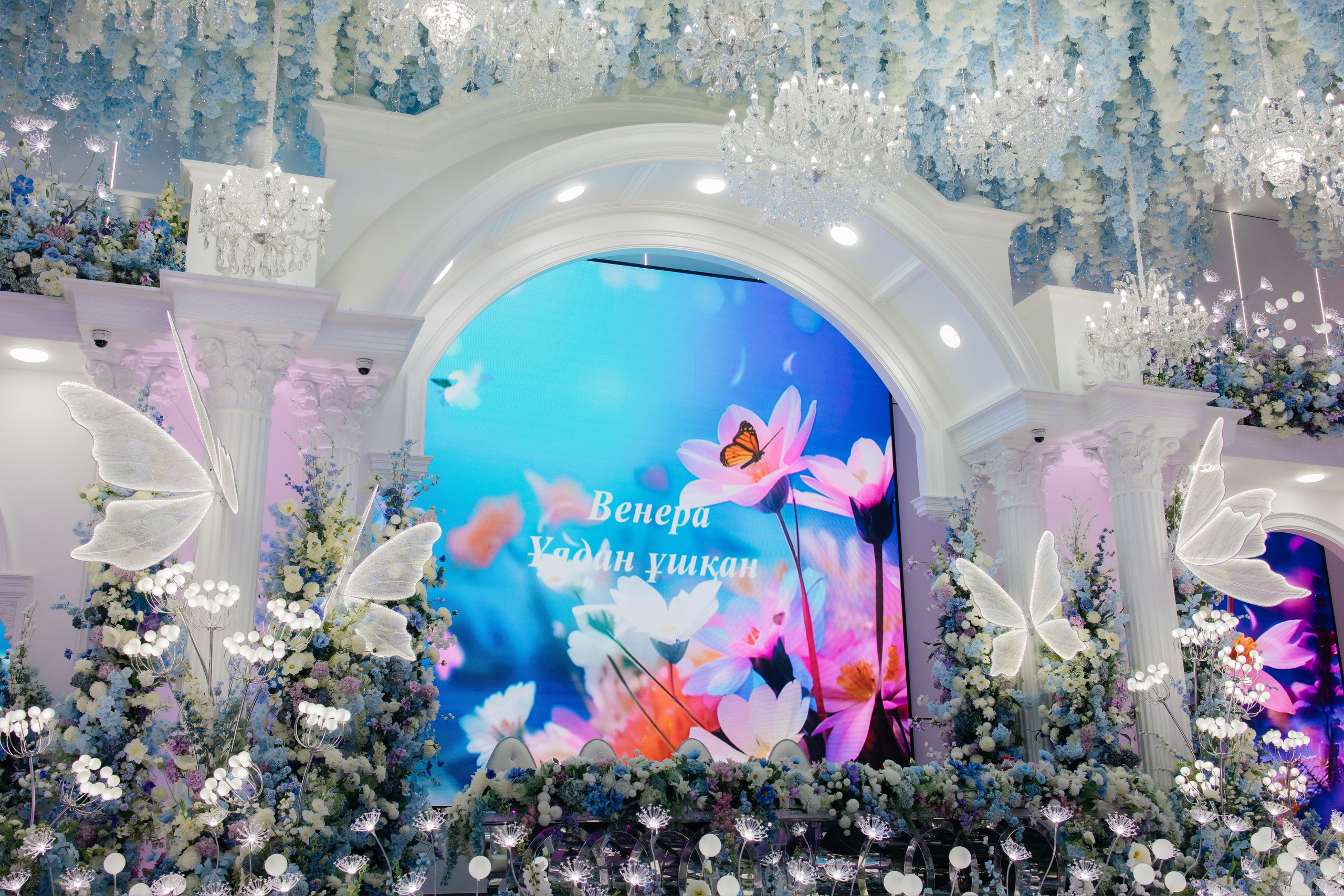 Uzatu Venera. Baikulov