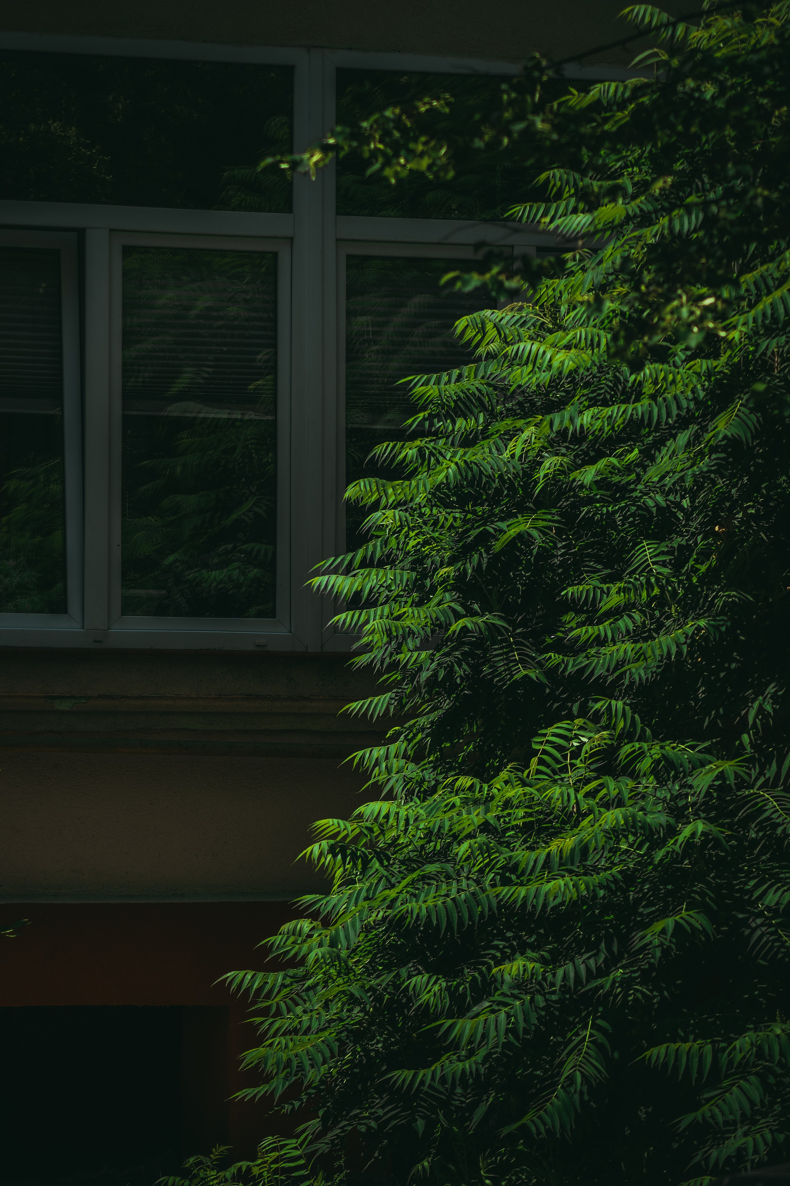 Т Е П Л Ы Й — З Е Л Е Н Ы Й. — Digital Noise —