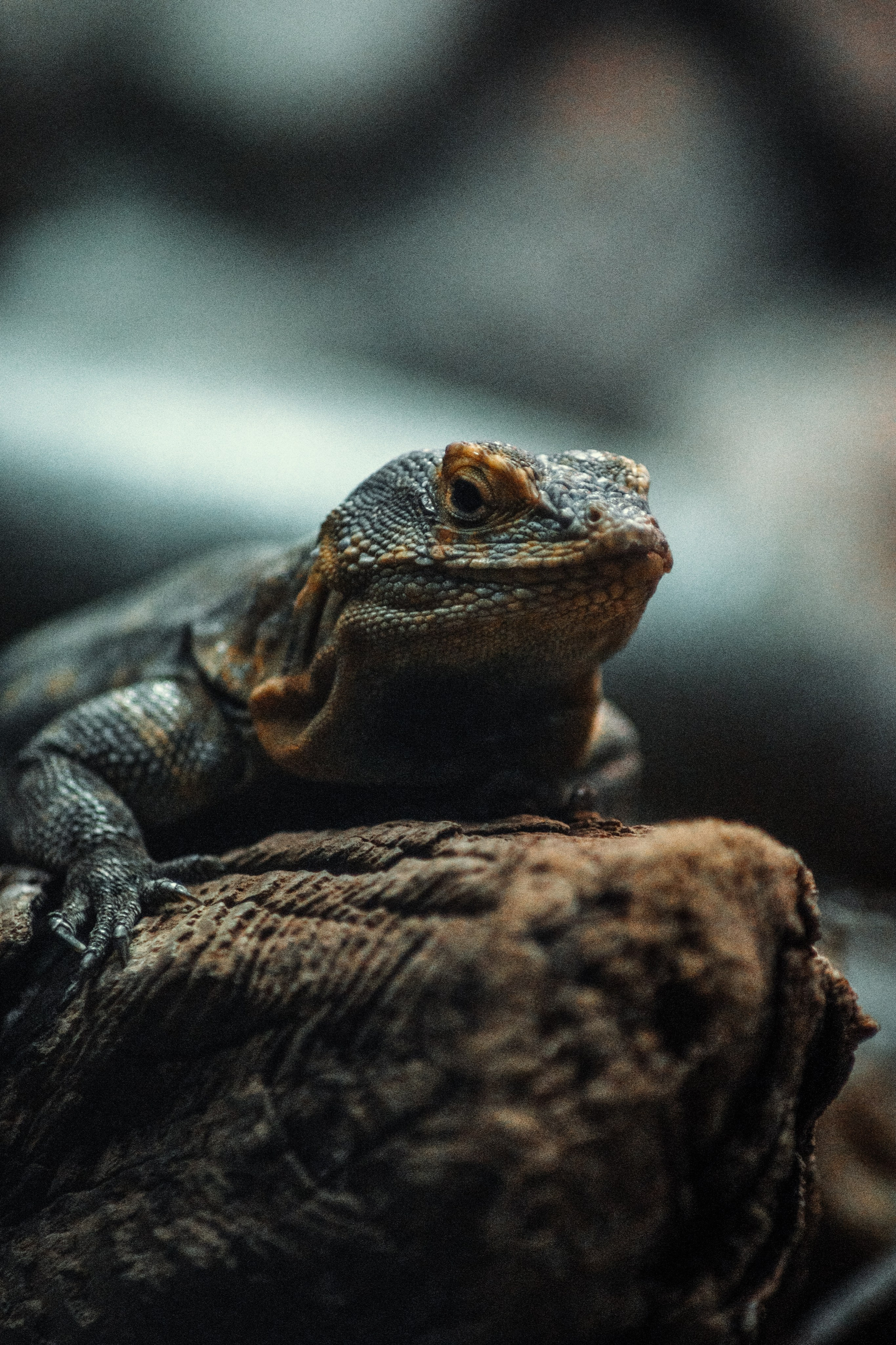 Р А З Н А Я — Ж И В Н О С Т Ь. — Digital Noise —