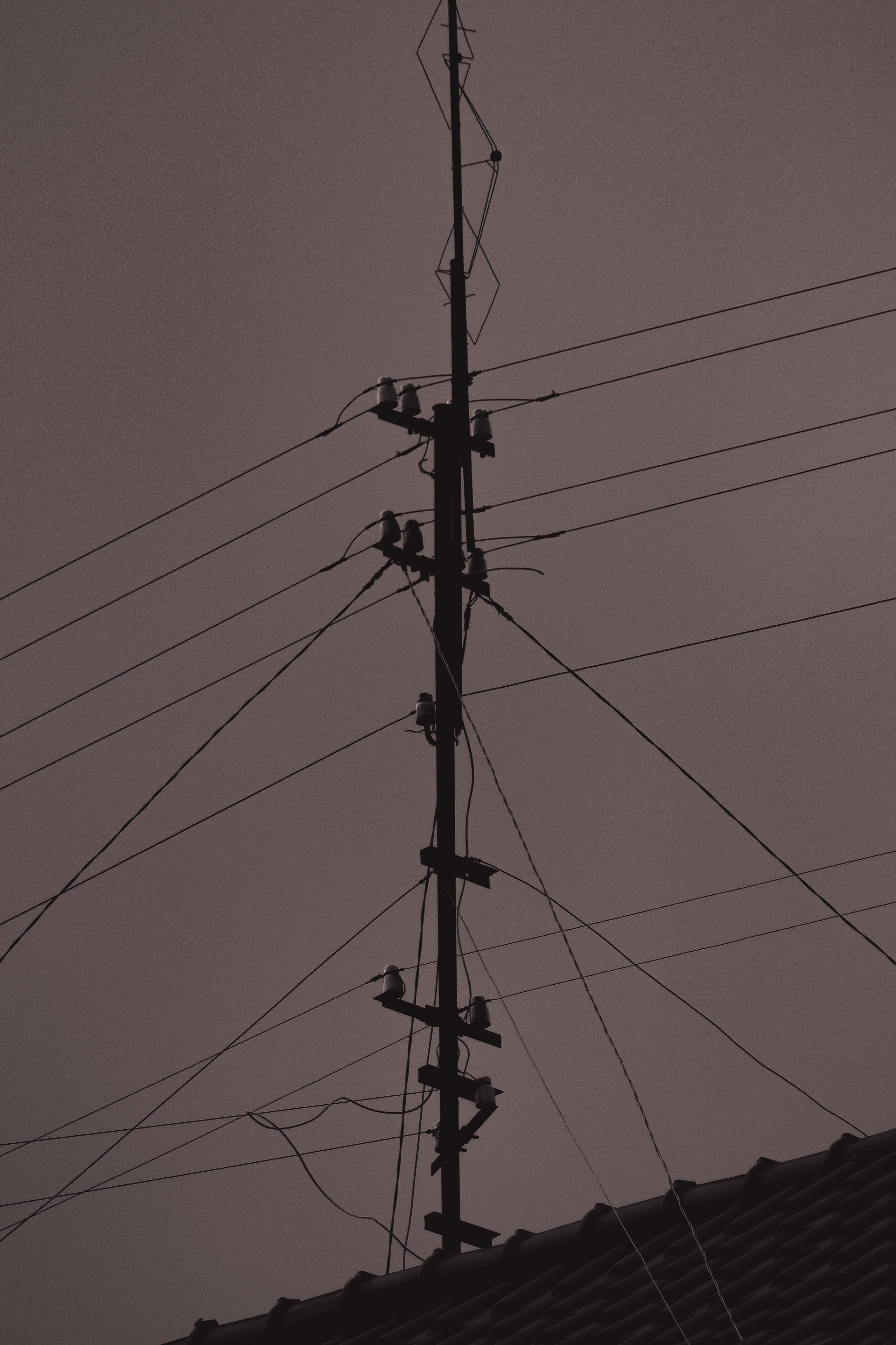 С Е П И Я. — Digital Noise —