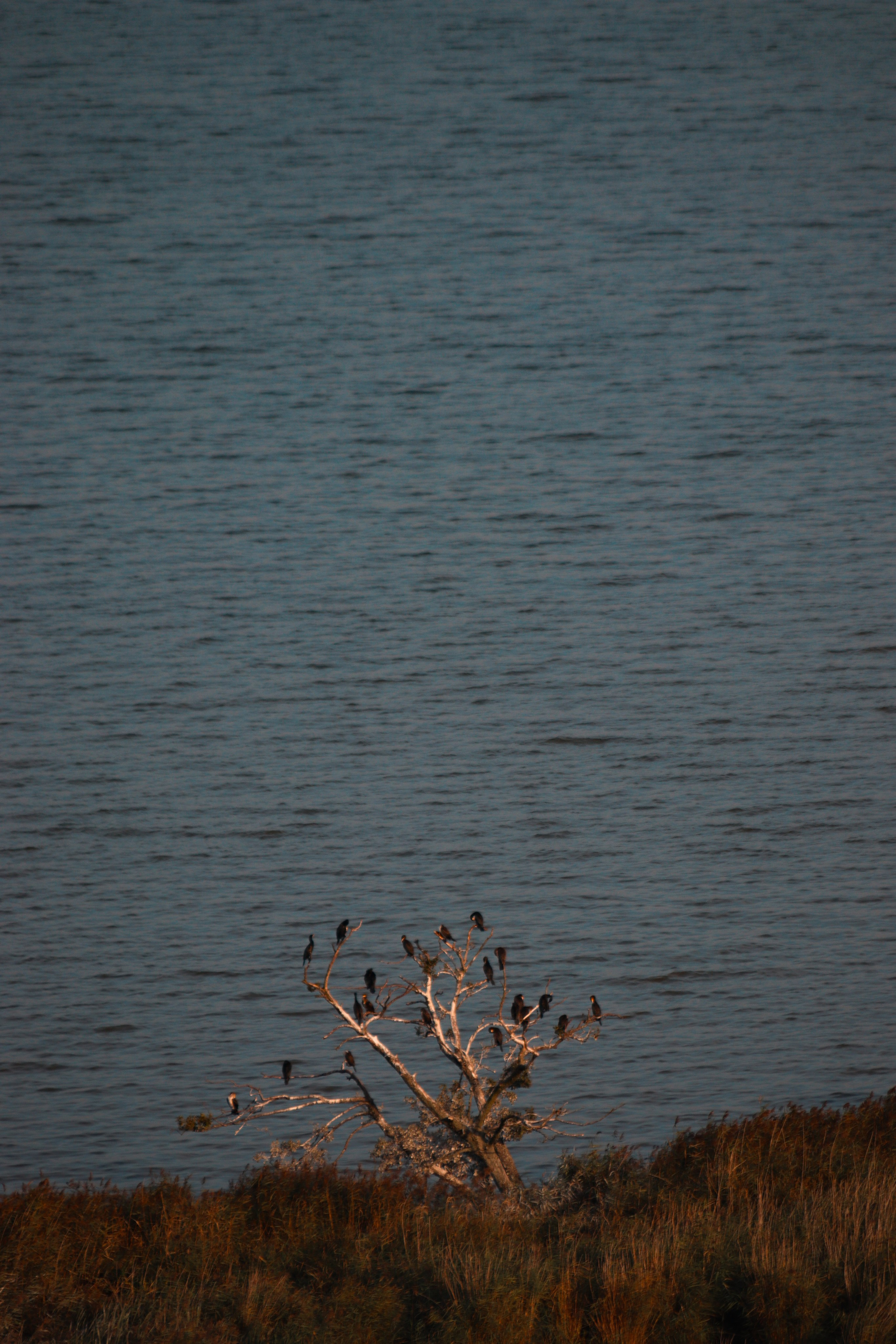 П Е Й З А Ж Н Ы Е. — Digital Noise —