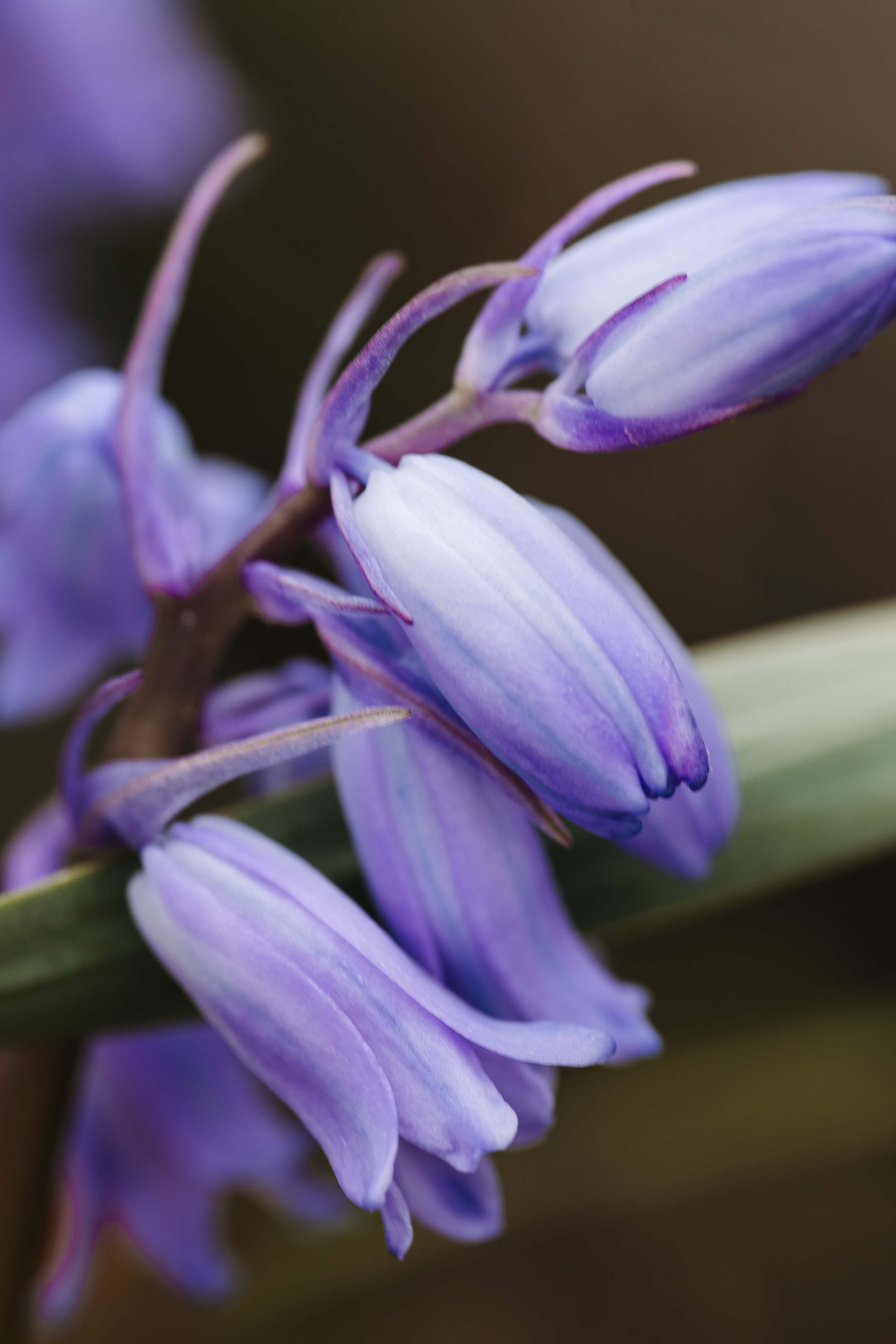 Macro. Фотограф на Юге России