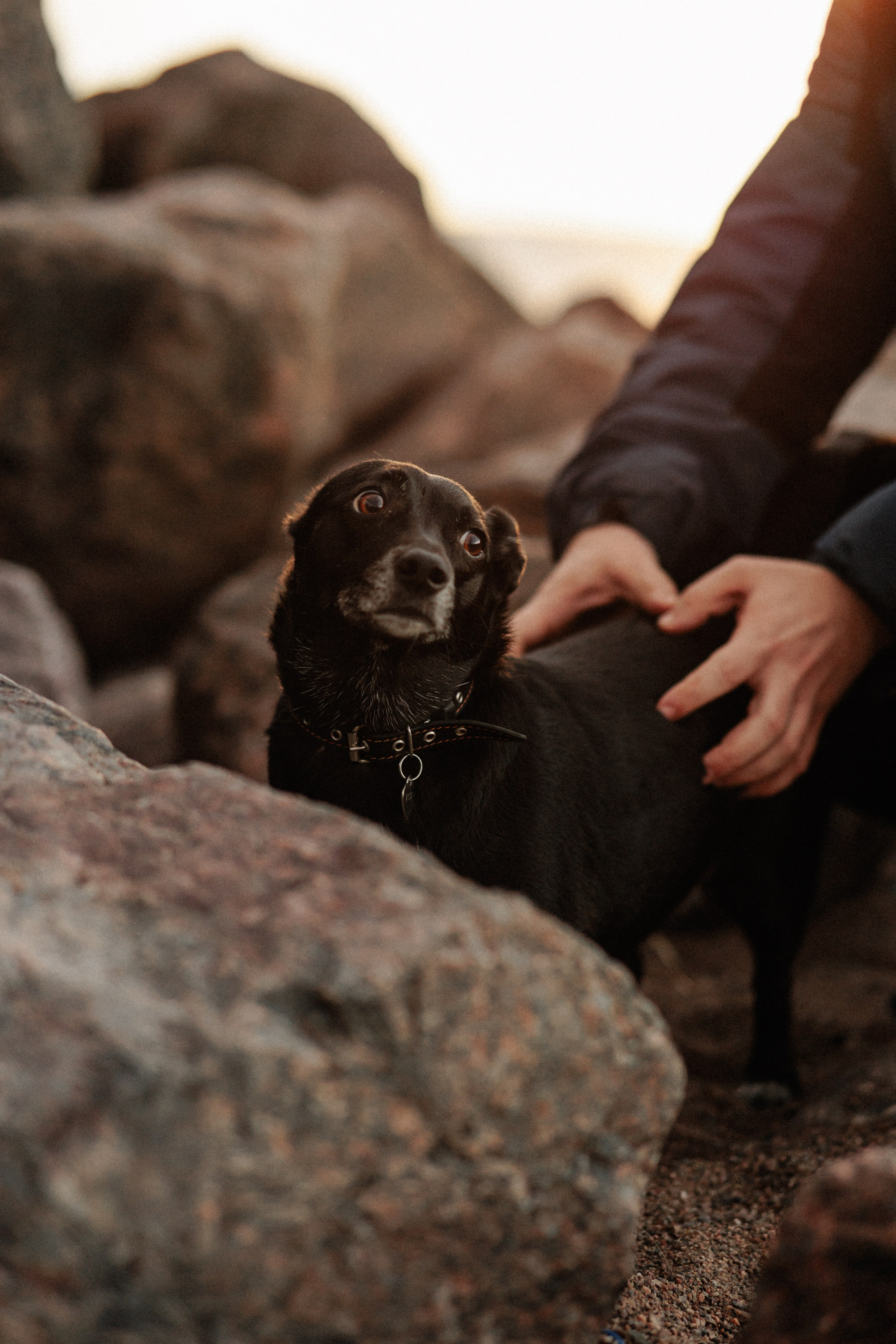 Ася и ее семья. Фотограф в Санкт-Петербурге Алёна Губинская