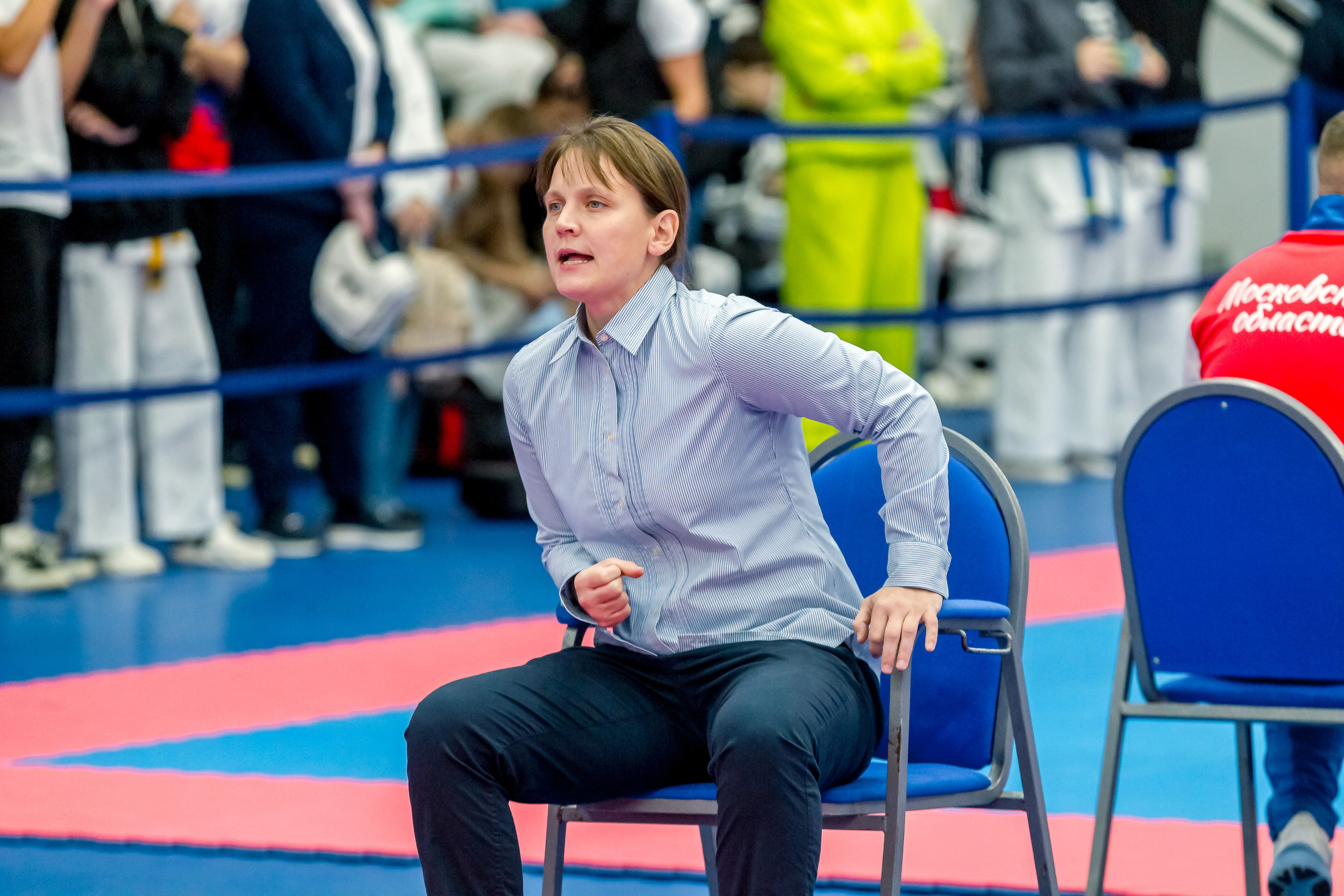 Соревнования по Киокушин памяти С. Увицкого. Репортажная съемка в Москве и области. Анималистика