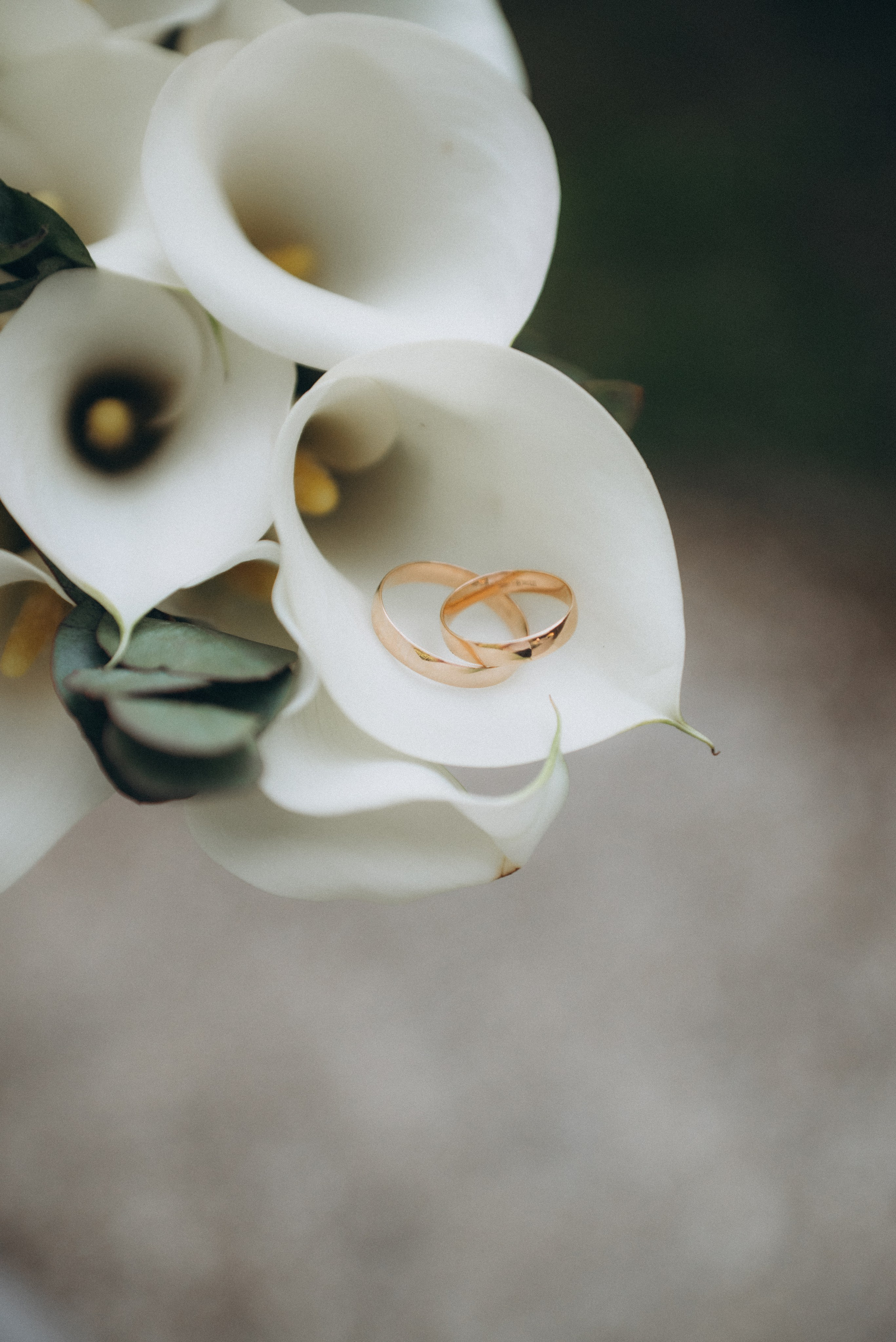 Саша и Кристина. Суханова Регина Фотограф Сергиев Посад