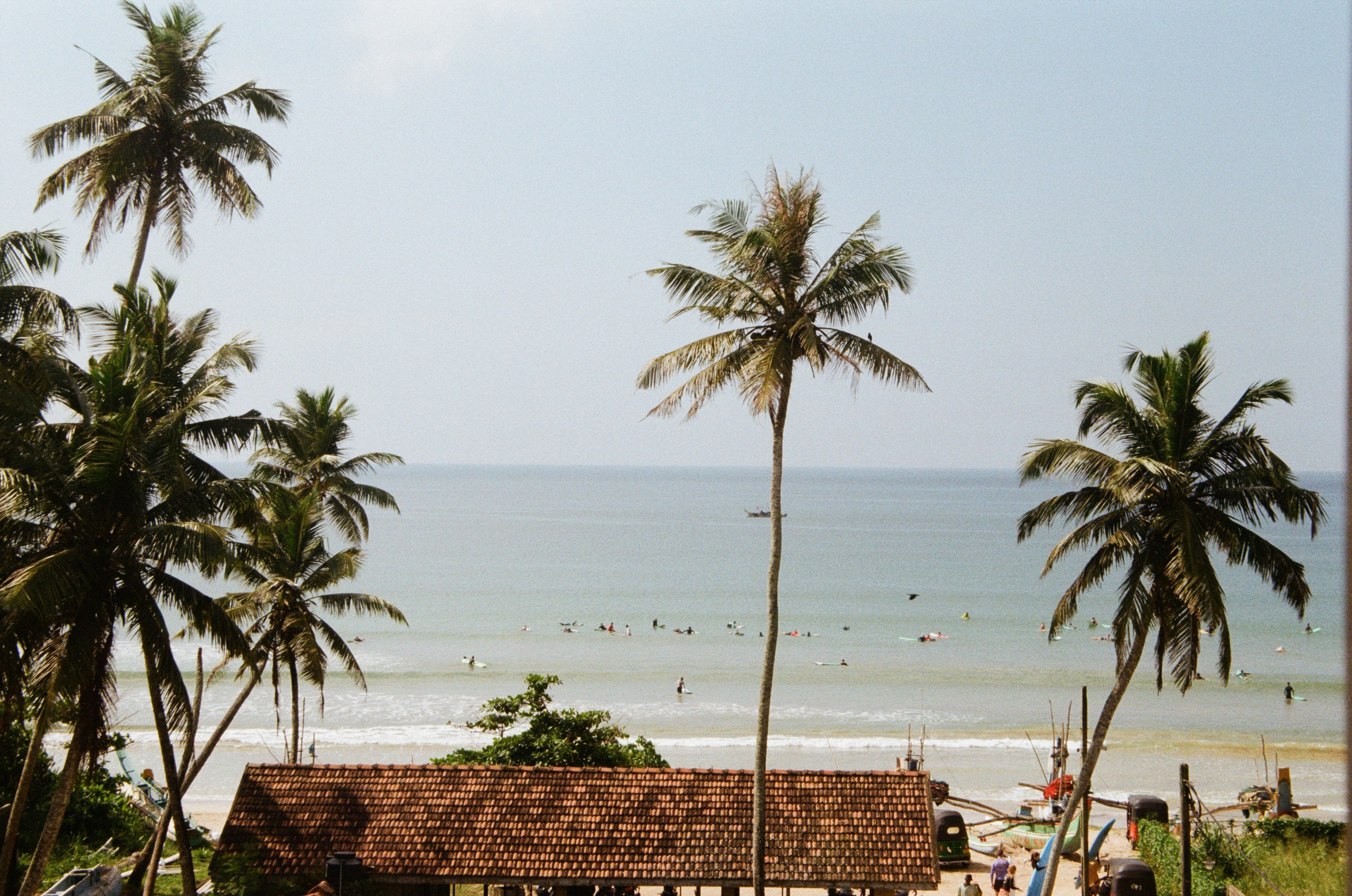 Пленка. Главная