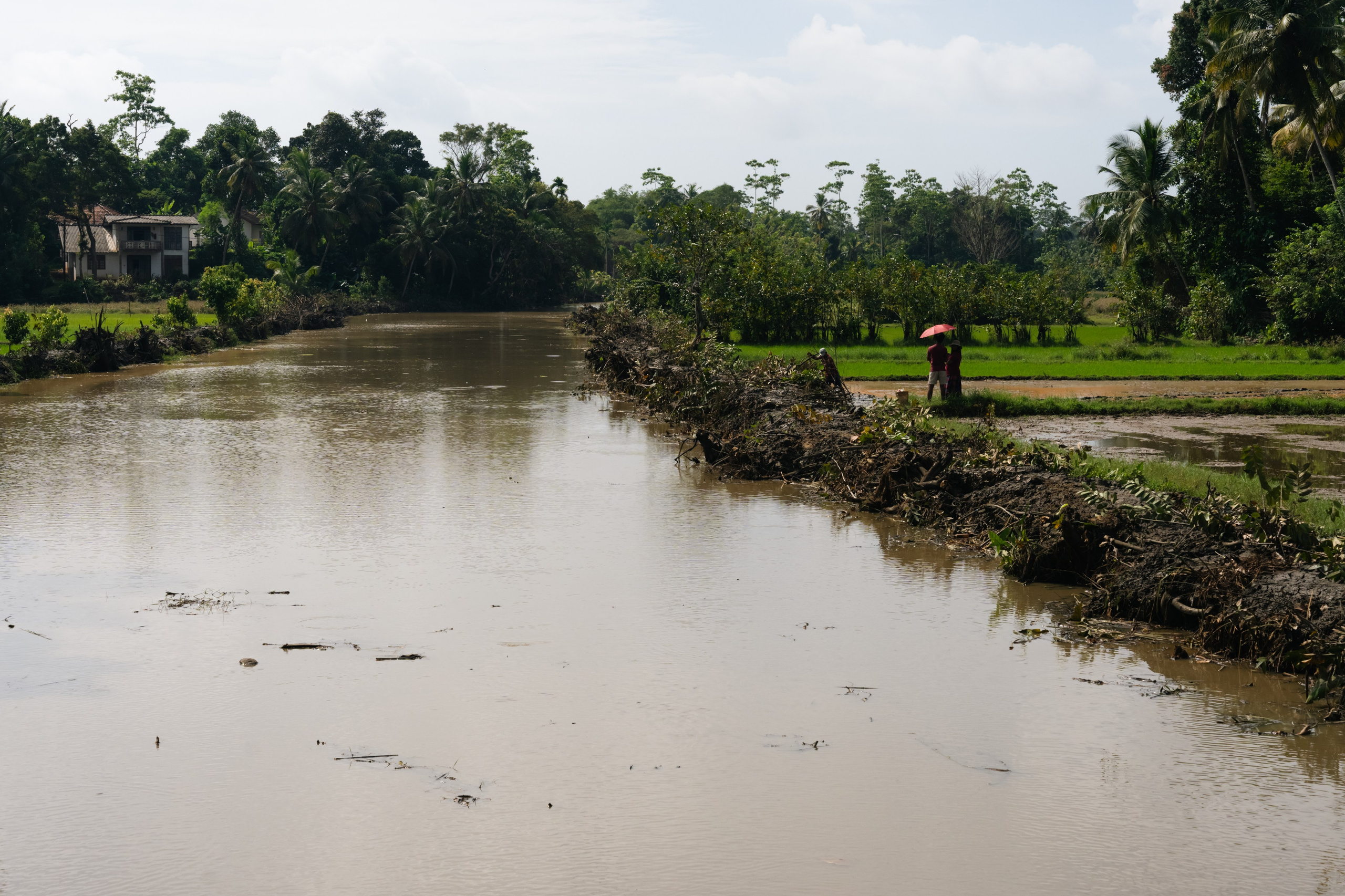 Пейзаж. Главная