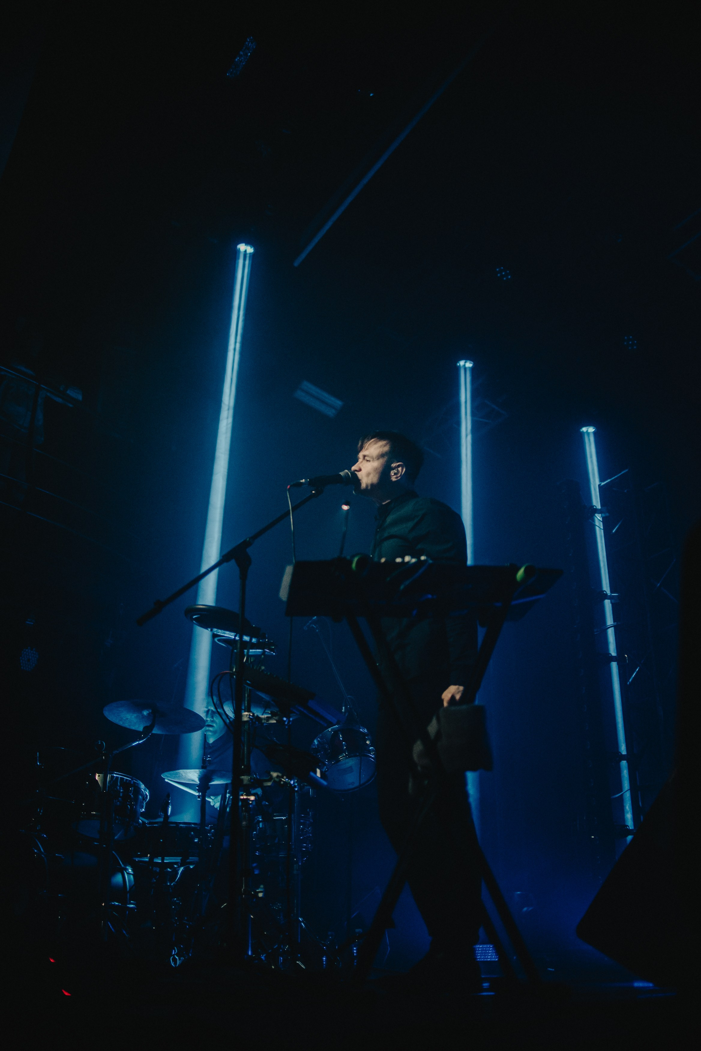 Дельфин | Gaudi. Контент фотограф Илья Урс