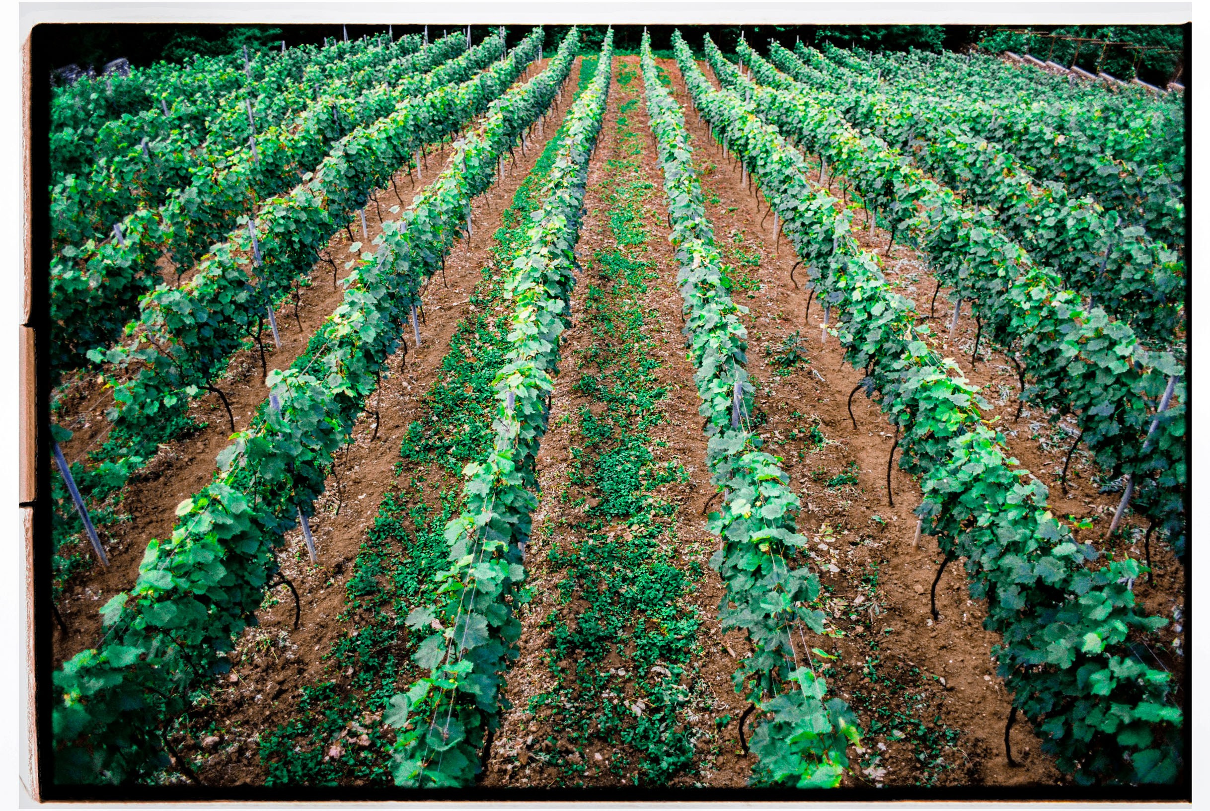 Abkhazia-2023. Никита Демидов. Nikita Demidov