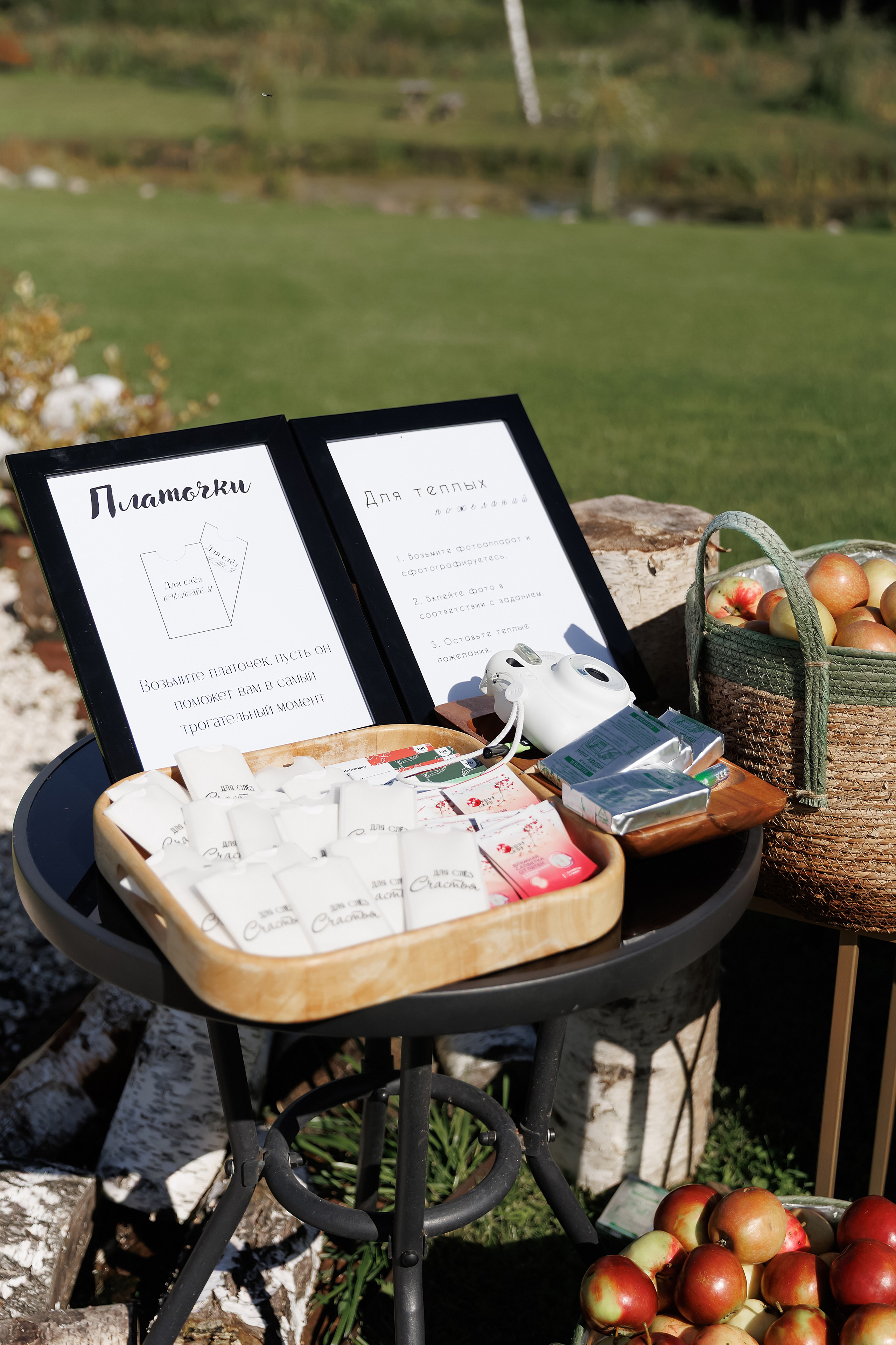 Ирина и Роман. Свадебный фотограф в Пскове и Санкт-Петербурге | Анна Голикова