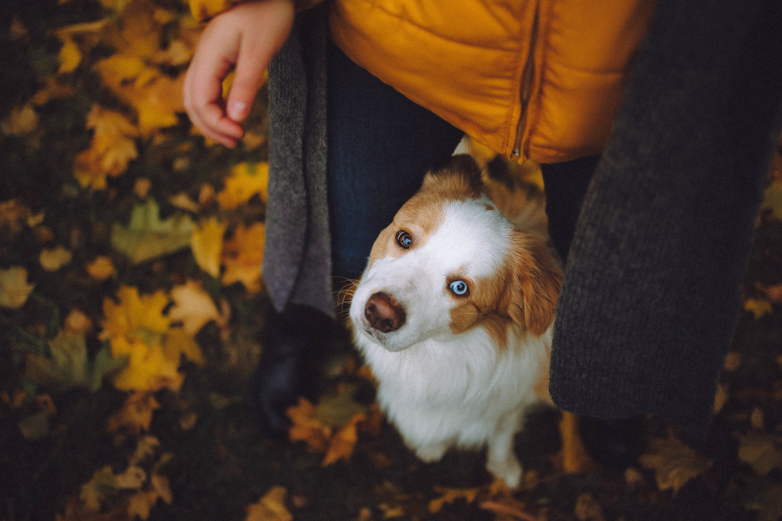 Алина, Витя и Асти